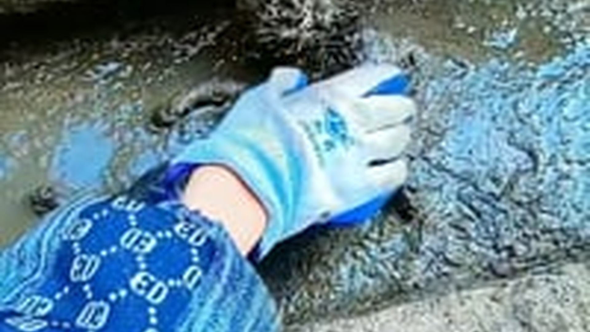 T2503013_cat was abandoned many days then discovered rescued by