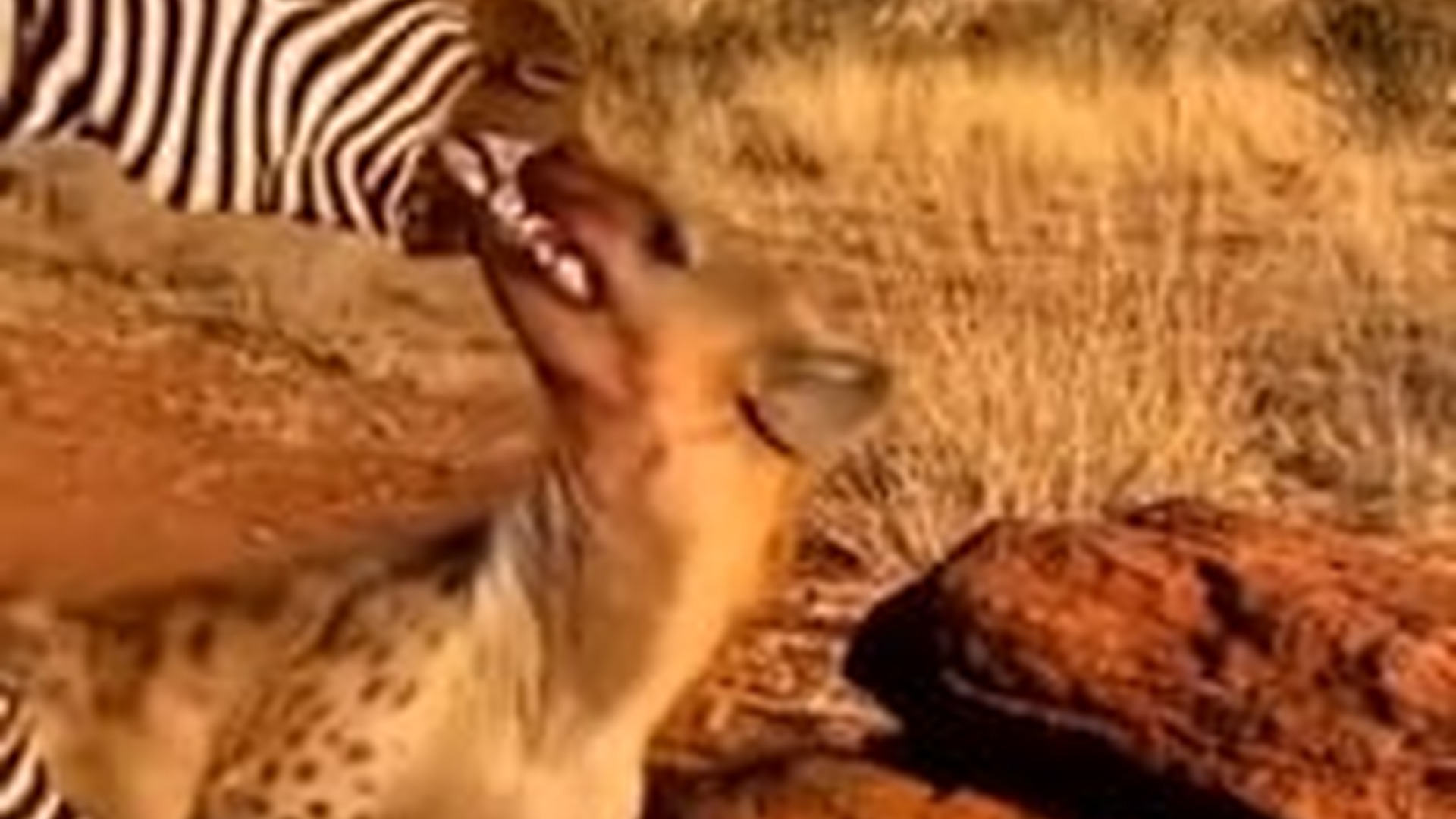 T3103002_য়ন বস