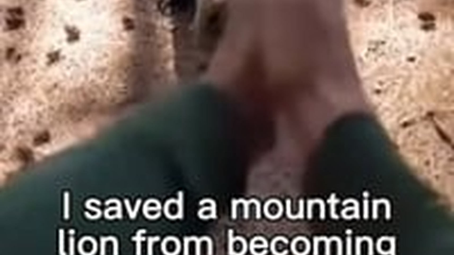 T3103005_Saved Mountain Lion Becoming Dinner #wholesome #animals