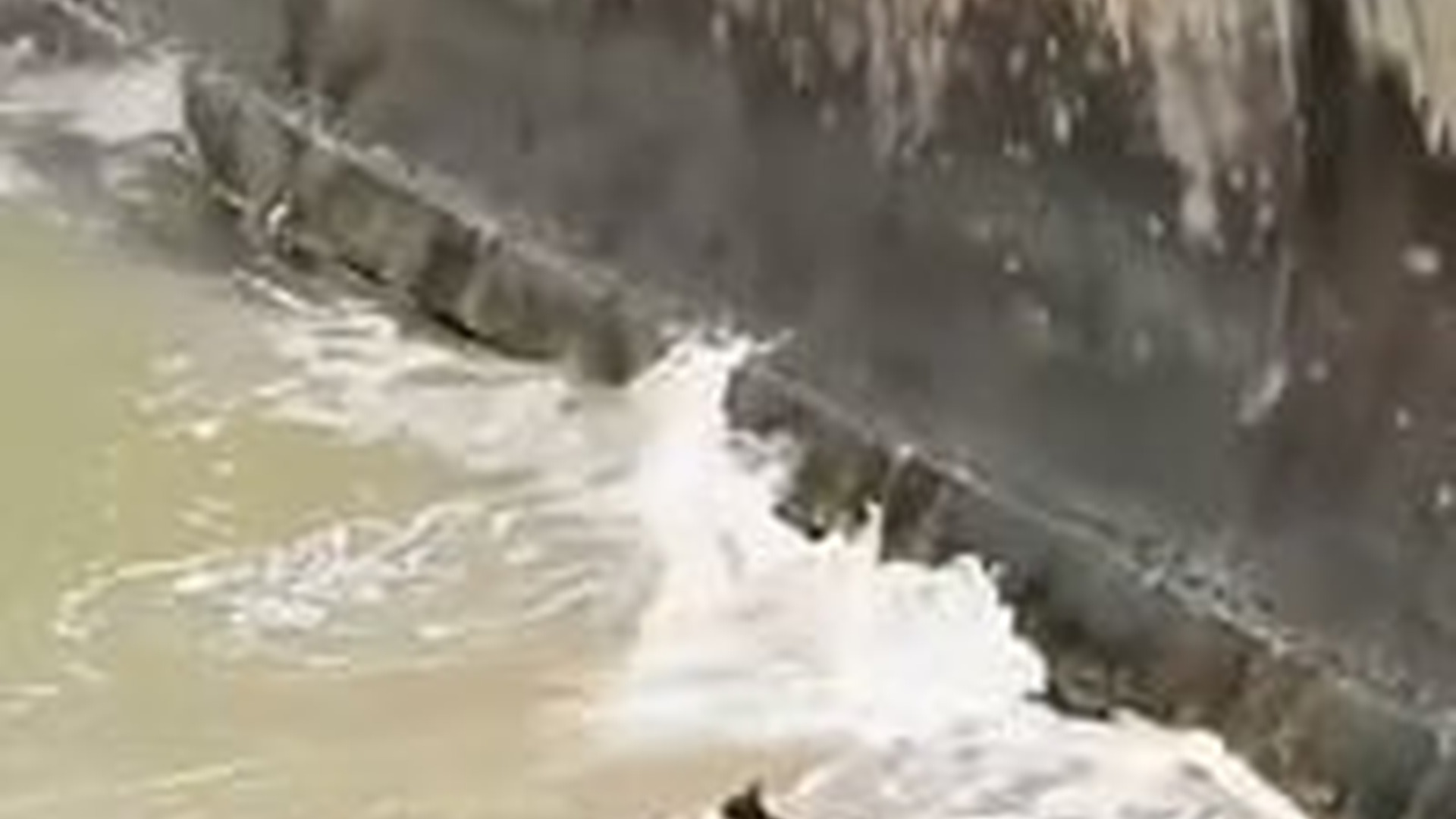 T1205018_Strangers unite to save drowning kitten