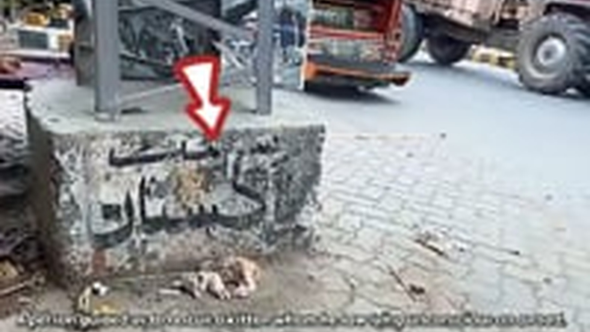 T1605007_person guided us to rescue kitten whom he saw lying unconscious on road Cocomelon Nursery Rhymes