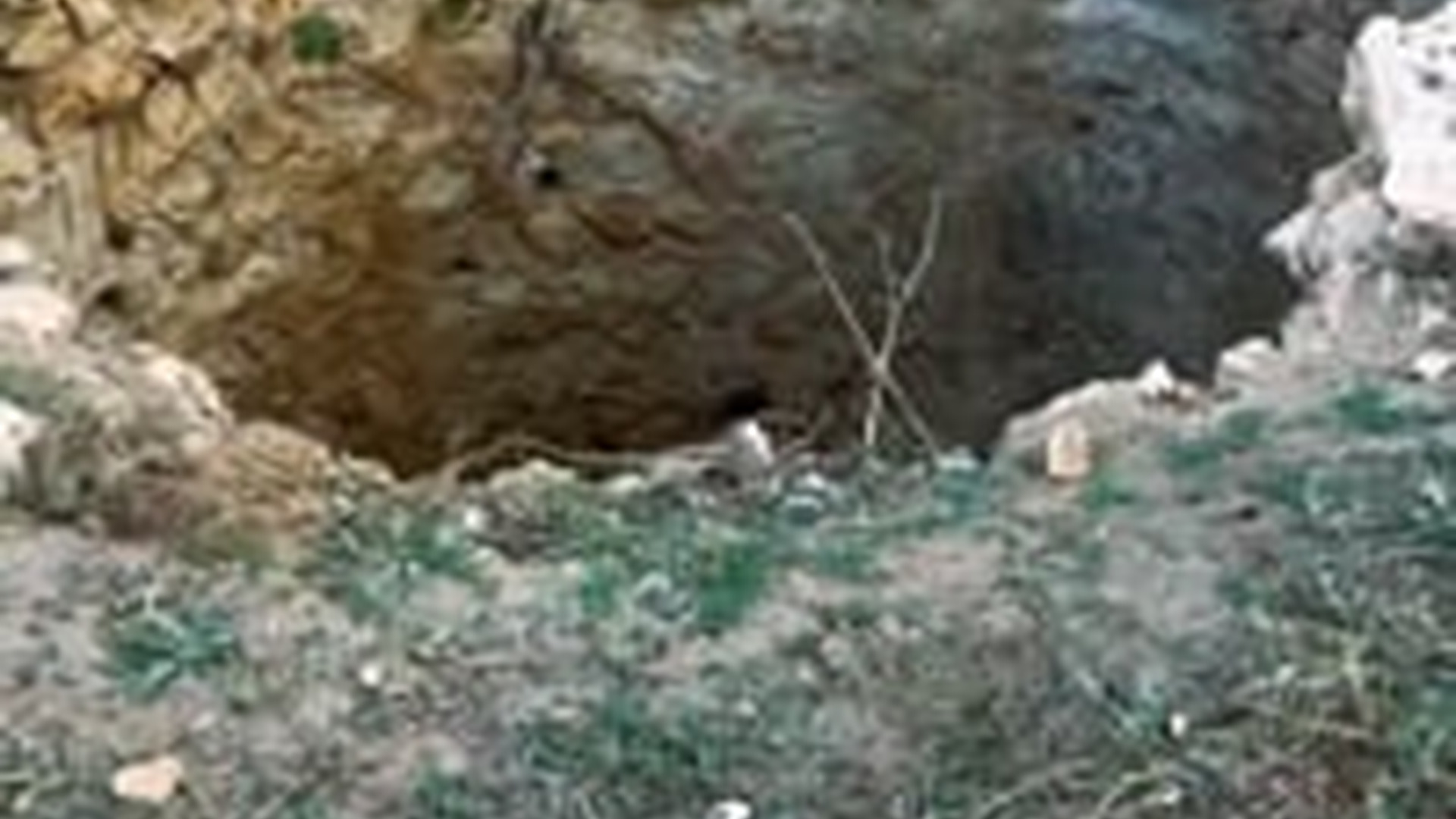 T1605025_man rescued poor cat how long has poor cat been in m