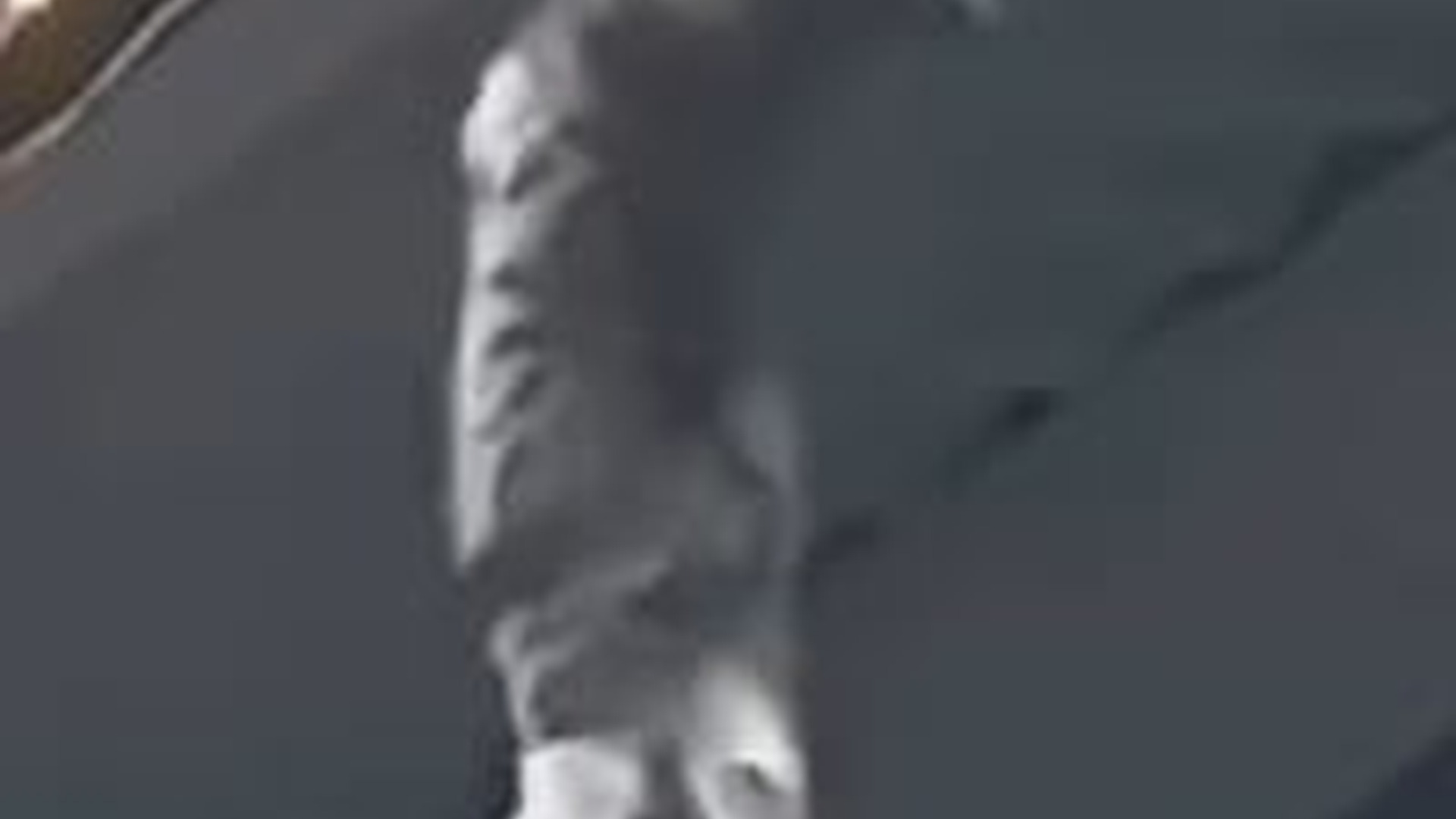 T2805019_CAT HANGING ROOFTOP seconds away FALLING