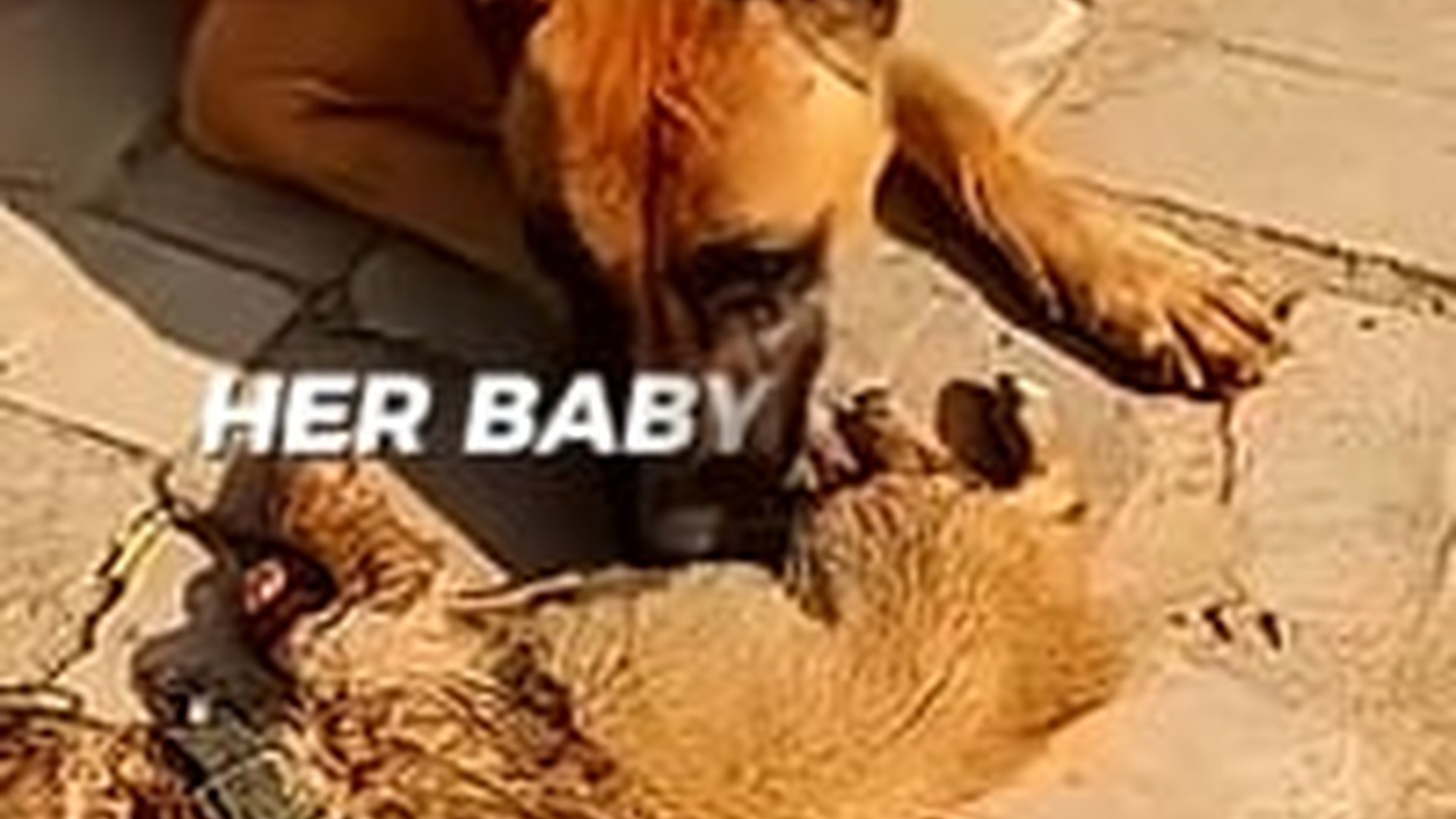 T2905010_Ending Will Break Your Heart Mother Love Story Kamin By Emin, Jony (Slowed Version)