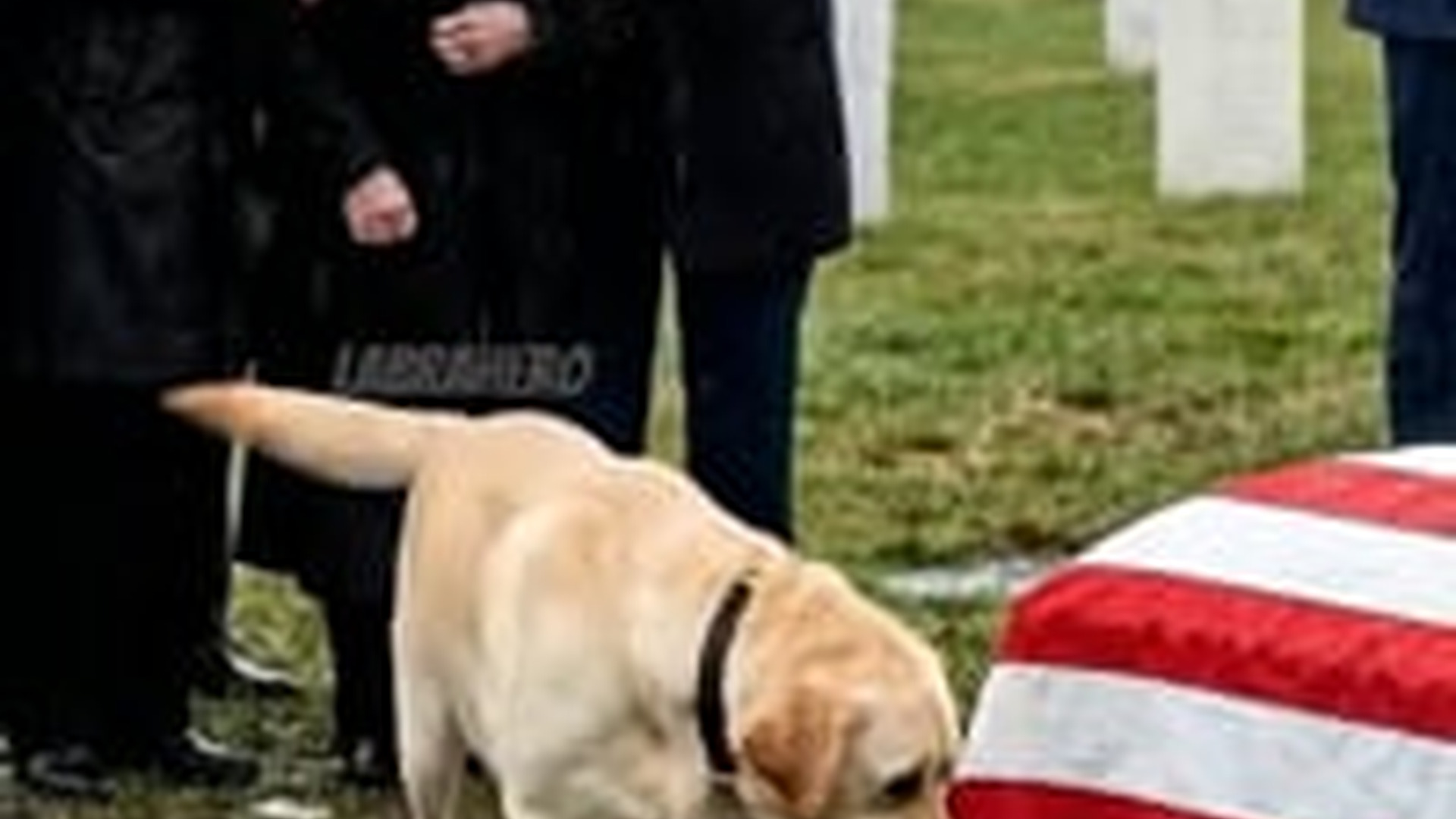 T0106003_At funeral, people stood around grave, quietly crying as they s
