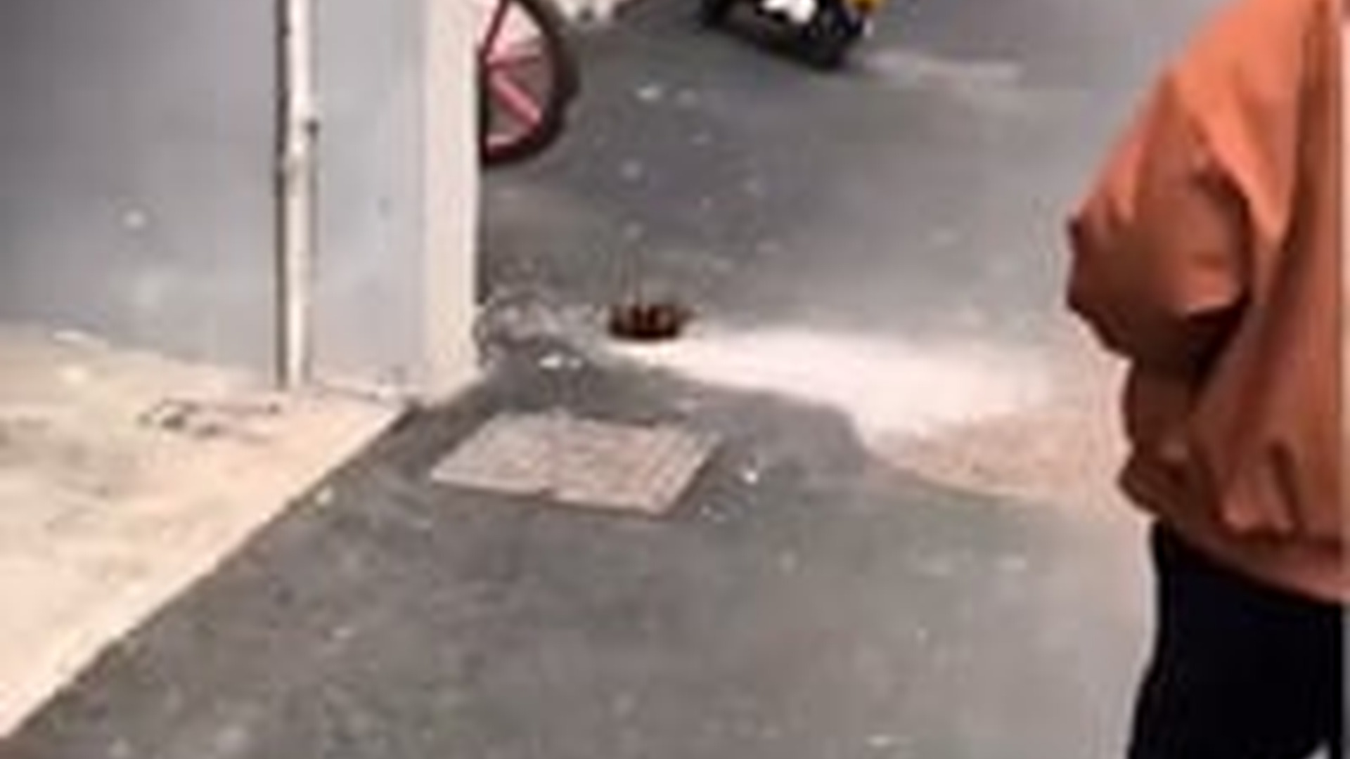 T0606026_I spotted a strange creature in an alley and...