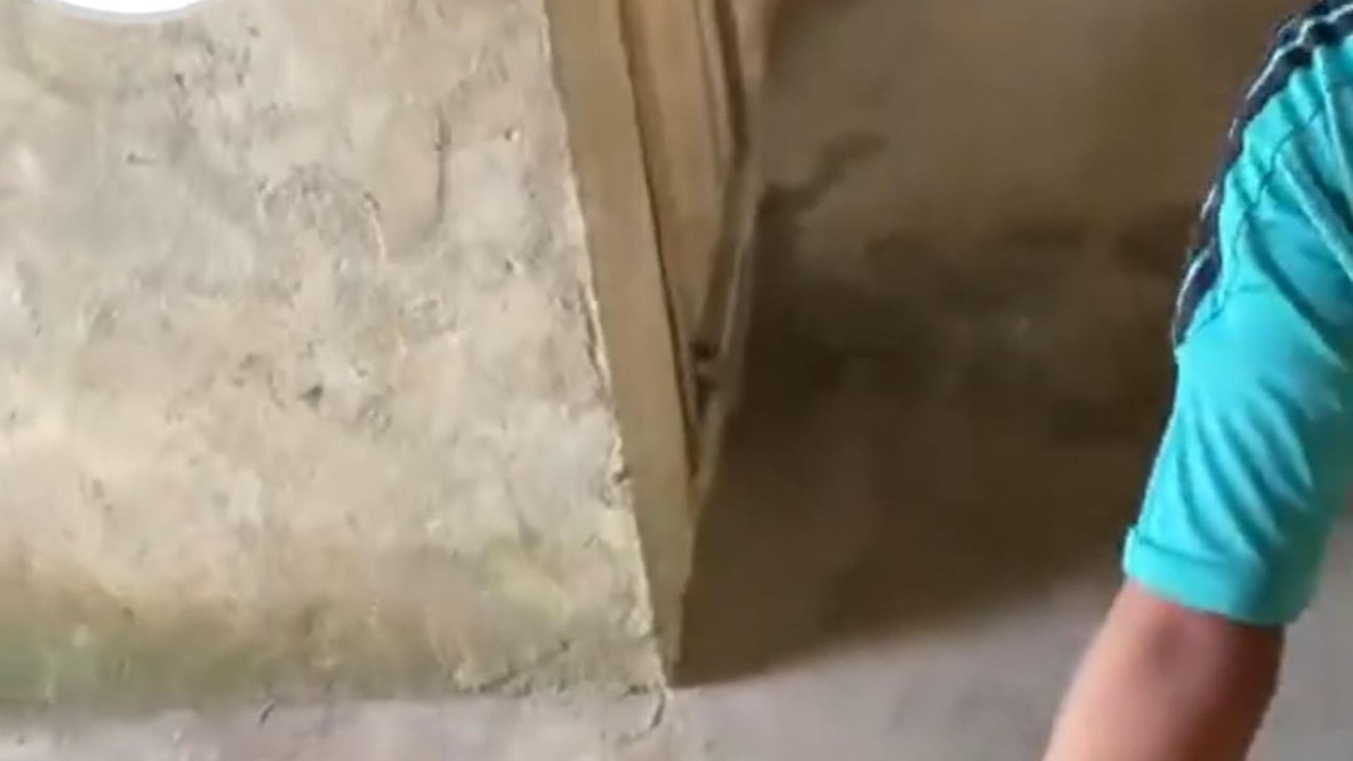 Full Video: T1106005_Child Discovered Small Kitten Trapped Her Head In Wooden Door Of Toilet
