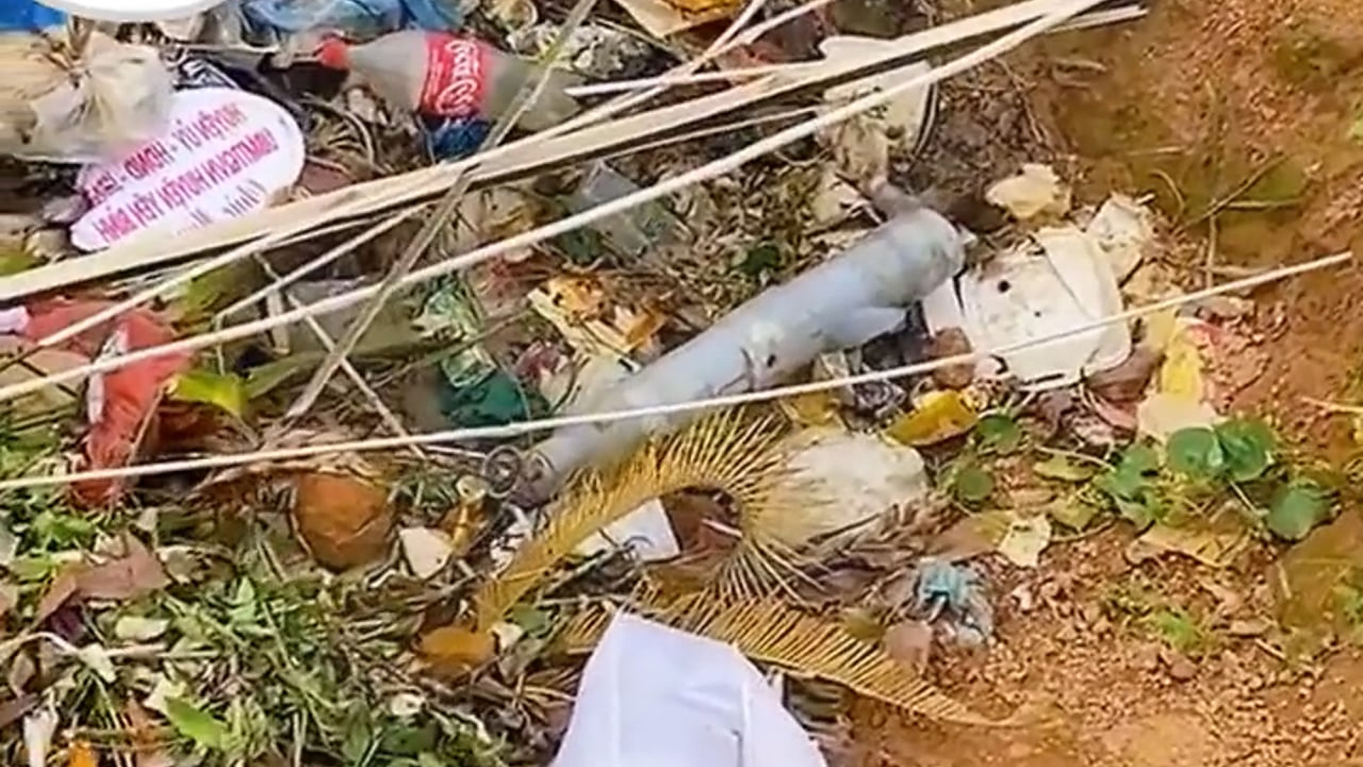 Full Video: T1106018_Kitten it Head Stuck in Plastic Pipe