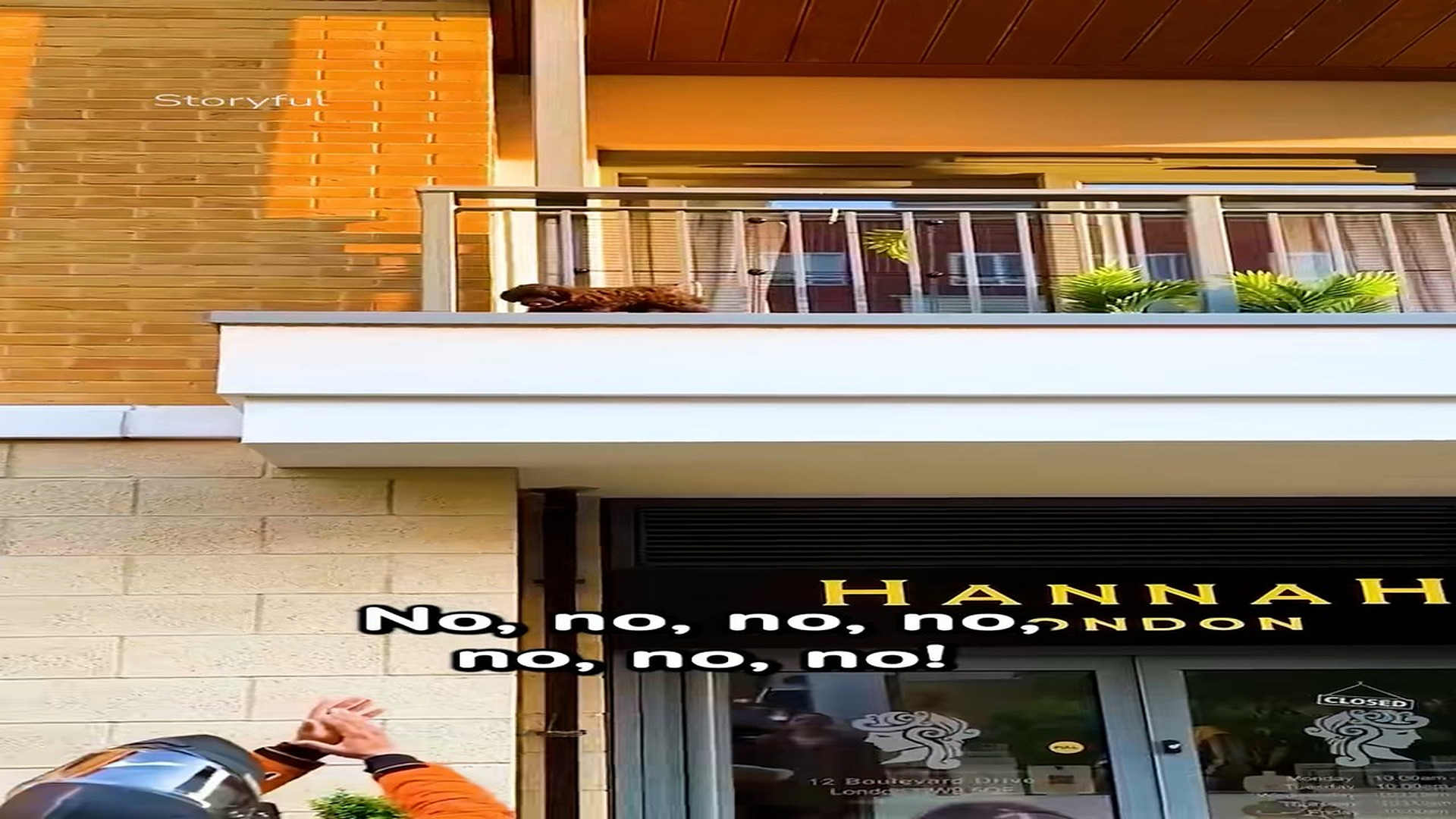 Full Video: T1106023_People gasp as puppy decides whether to jump off balcony