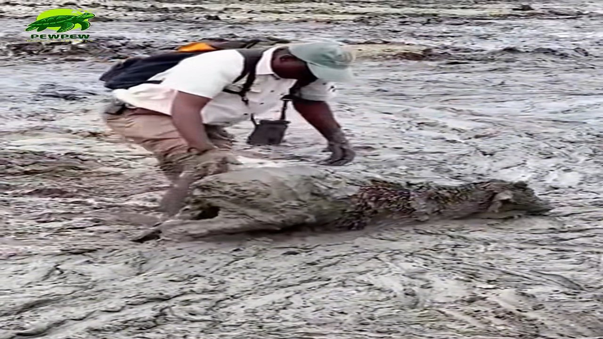 Full Video: Thank you kind man #rescue #rescueanimals #animal #trending #animalso...
