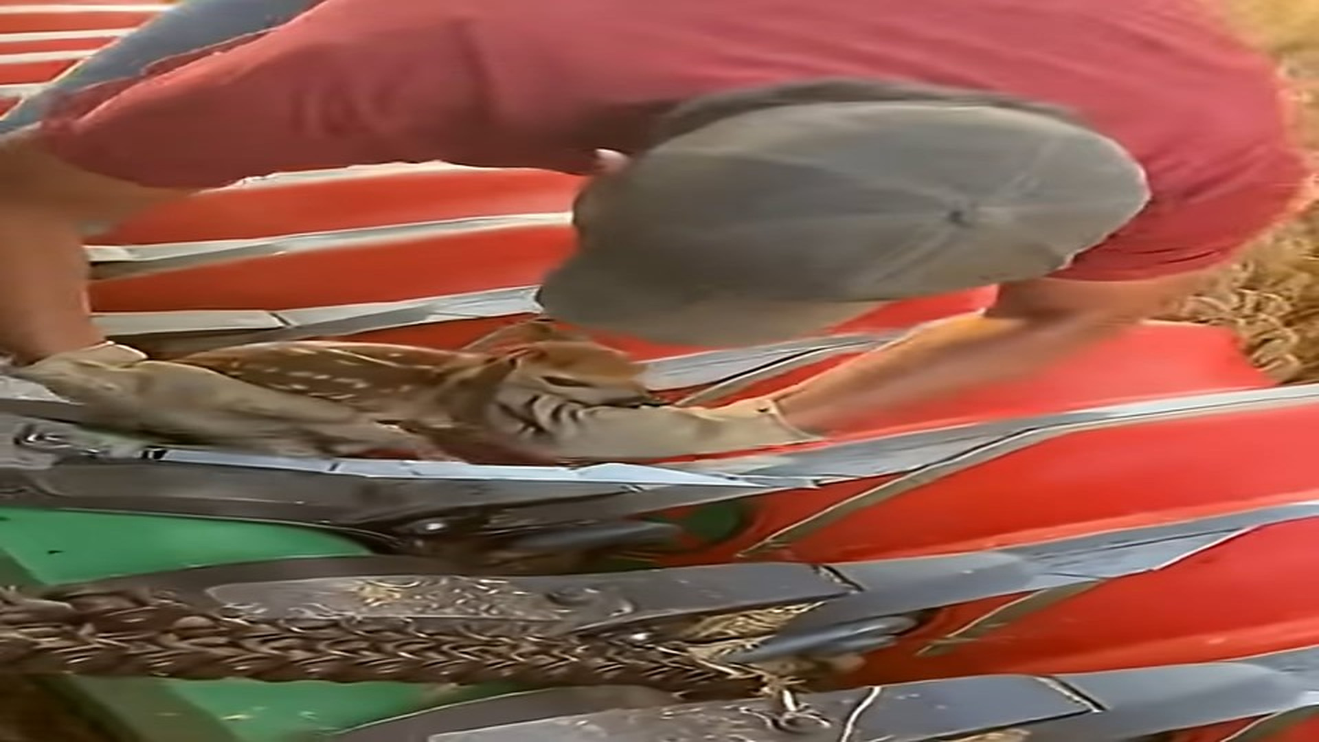 Full story: T1406004_Deer got stuck in tractor!