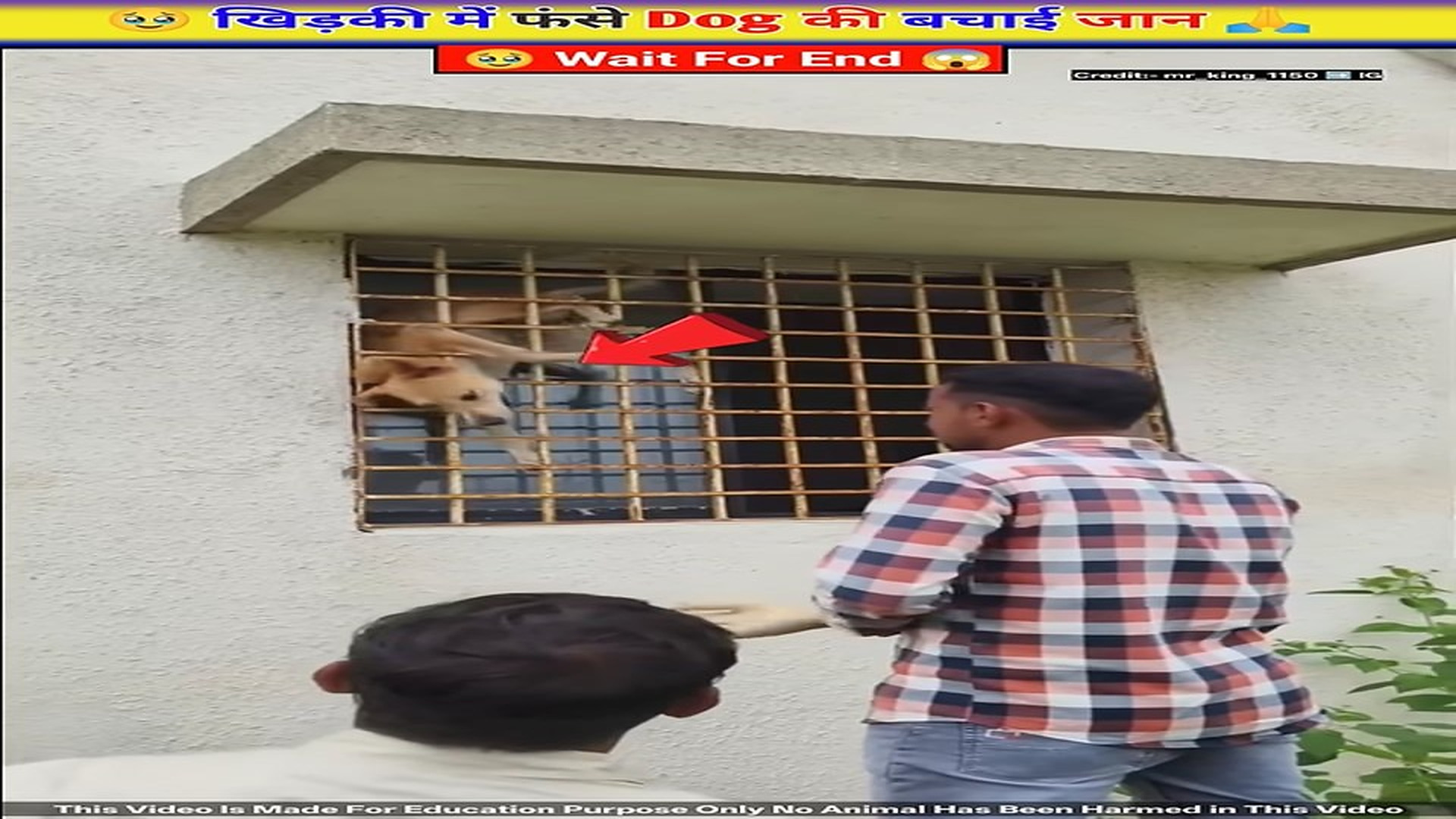 Full story: T1506007_Dog Escape