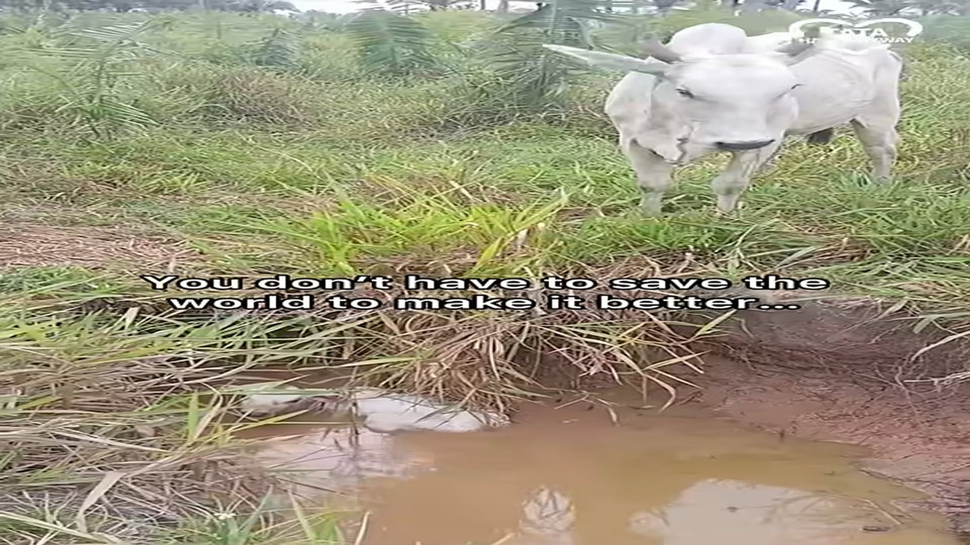 Full story: T1506009_Just don look away when someone needs help