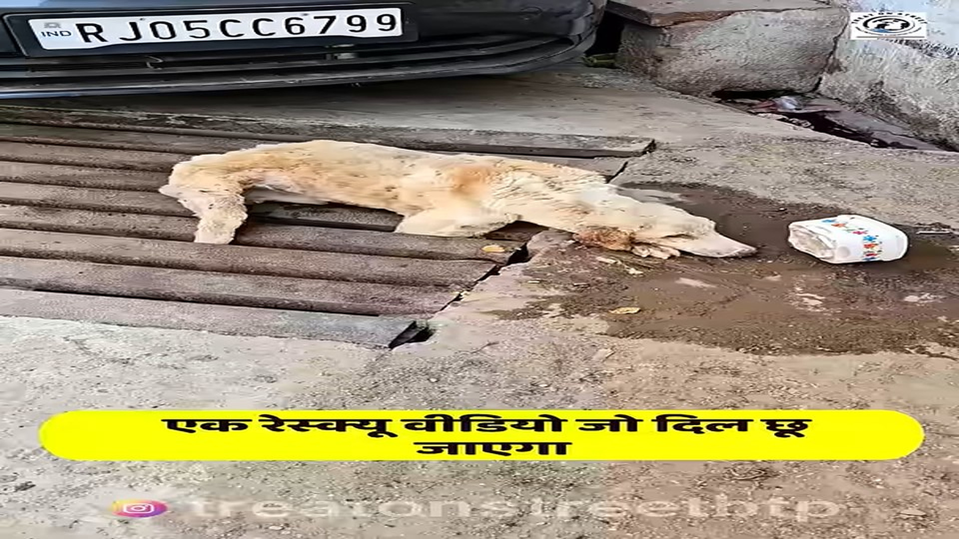 Full story: T1506021_One Step Help on Street Treat on Street BTP