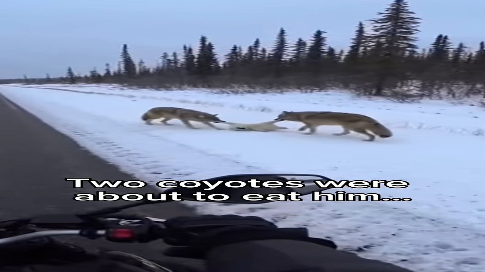 Full story: T2306019_It started like any other ride until it didn In snow, two