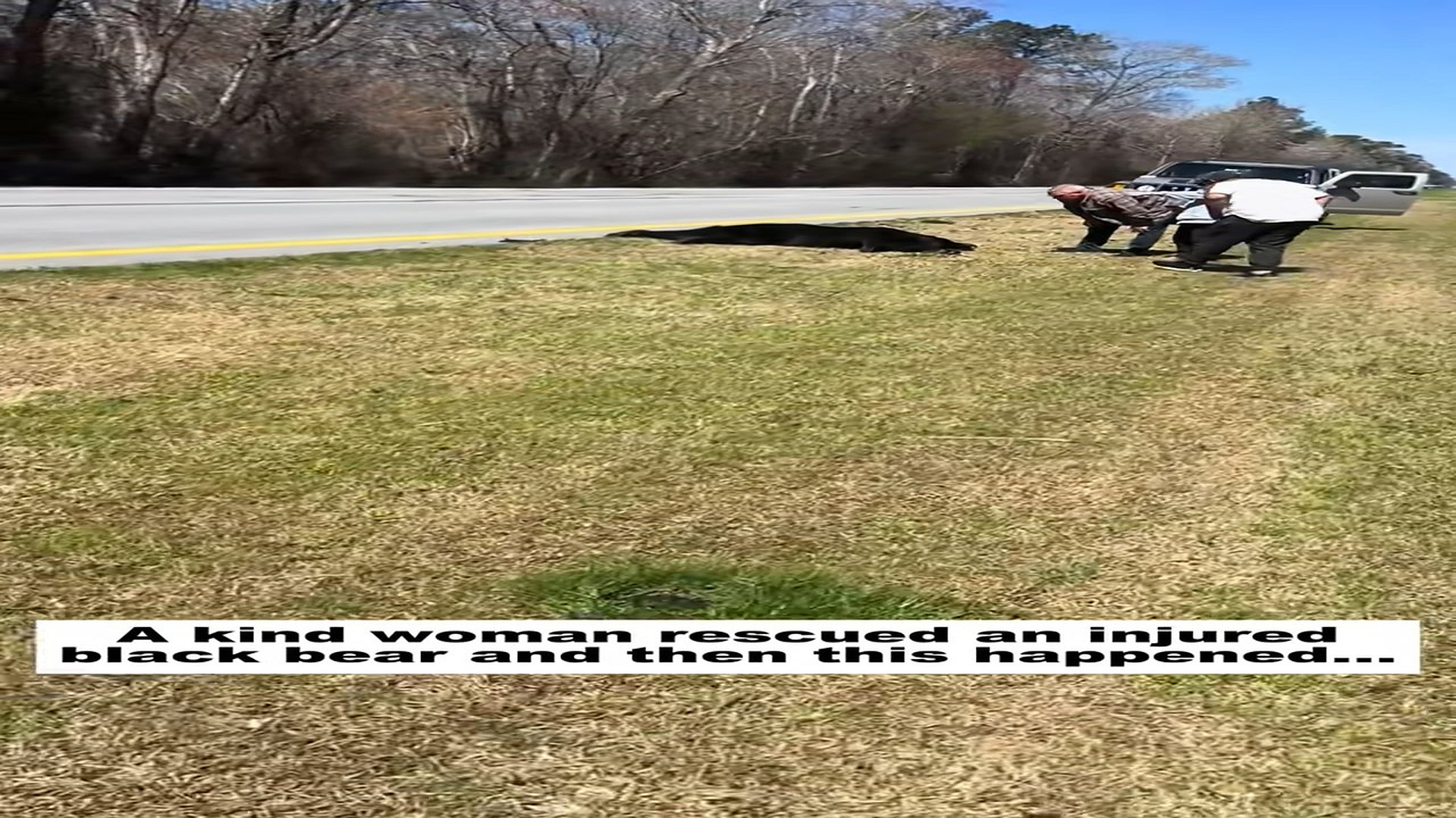 Full story: T2306024_kind woman rescued an injured black bear then happened #
