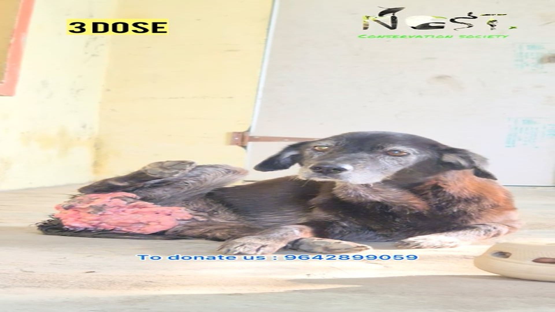 Full story: T0107002_3rd dose completed Tumor reduced little small step towards healinWe won give up Please