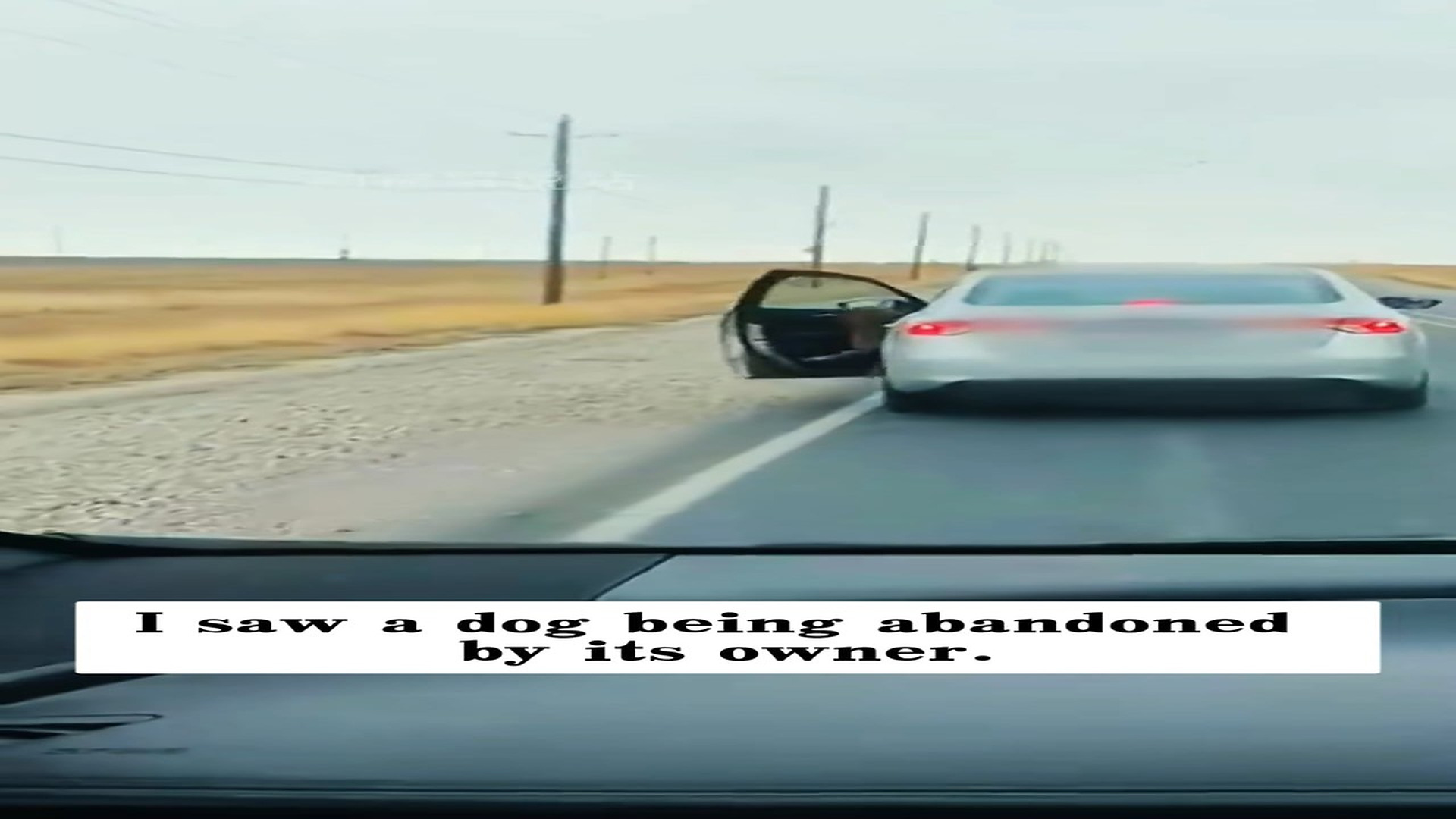 Full story: T0107023_saw dog being abandoned by its owner, then