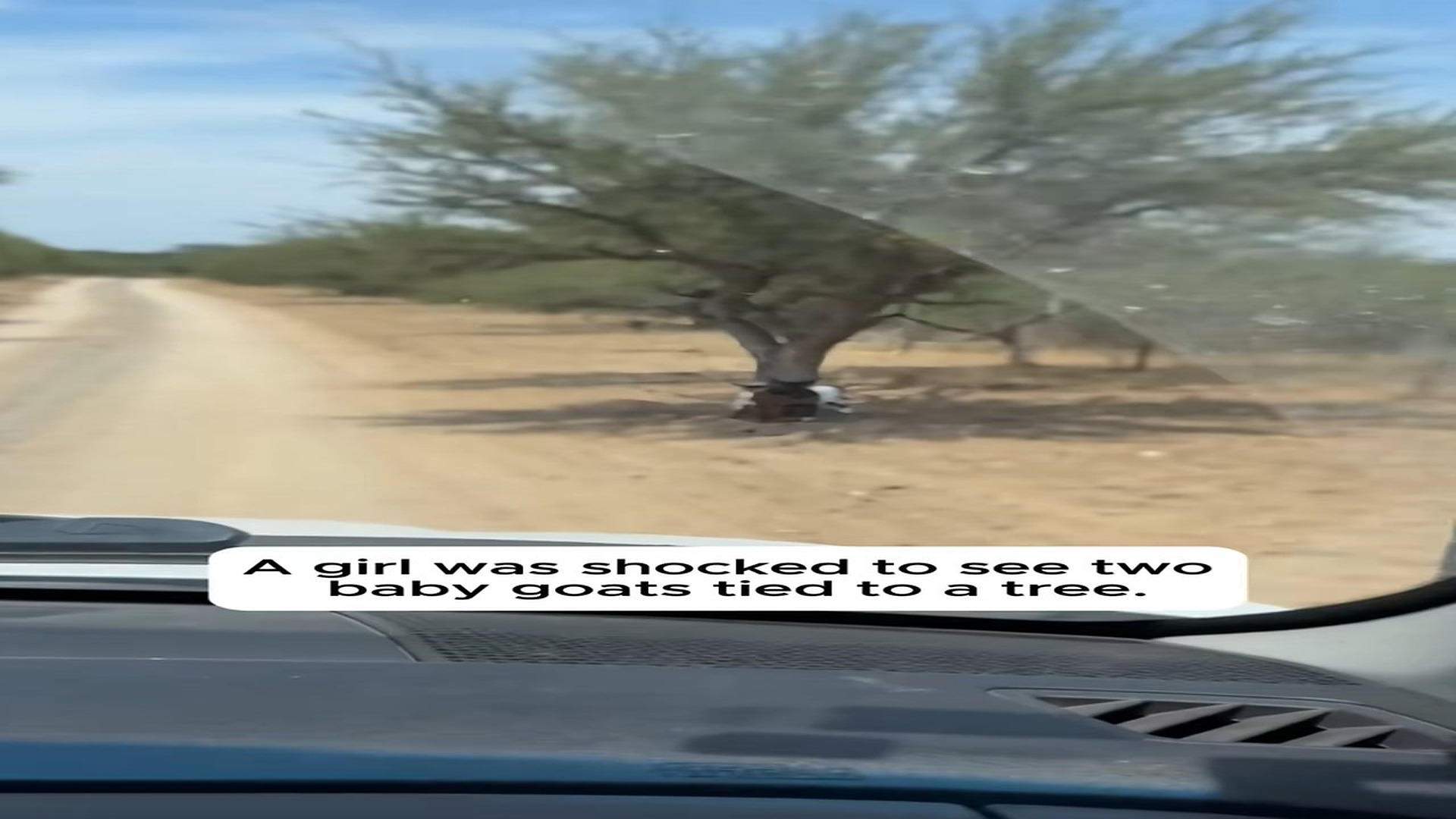 Full story: T0107024_She Found Two Abandoned Baby Goats Tied To Tree