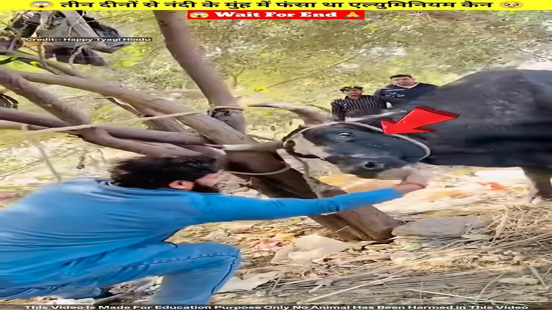 Full story: T0107039_l yam