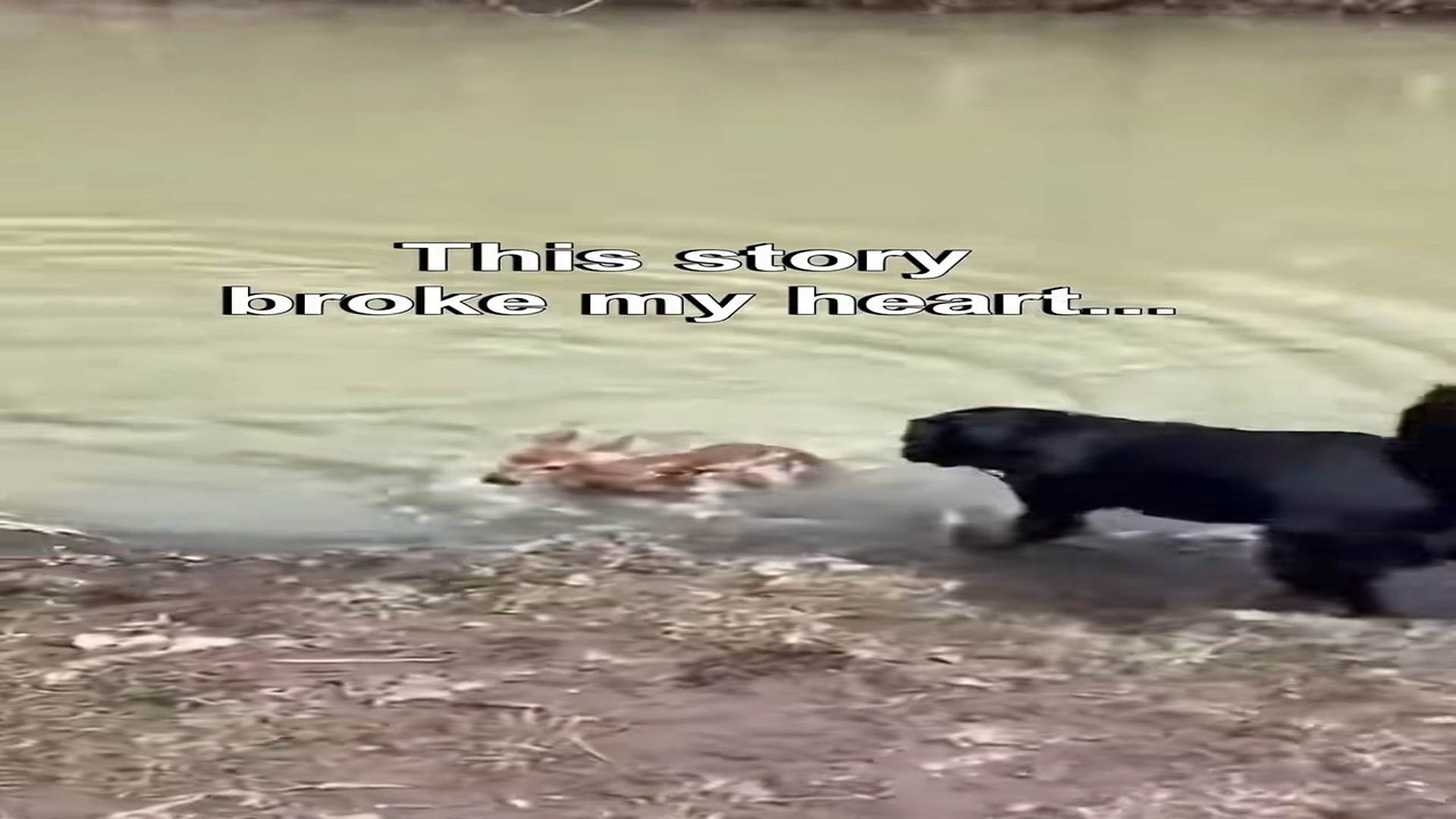 Full story: T0307020_story break my heart but love it