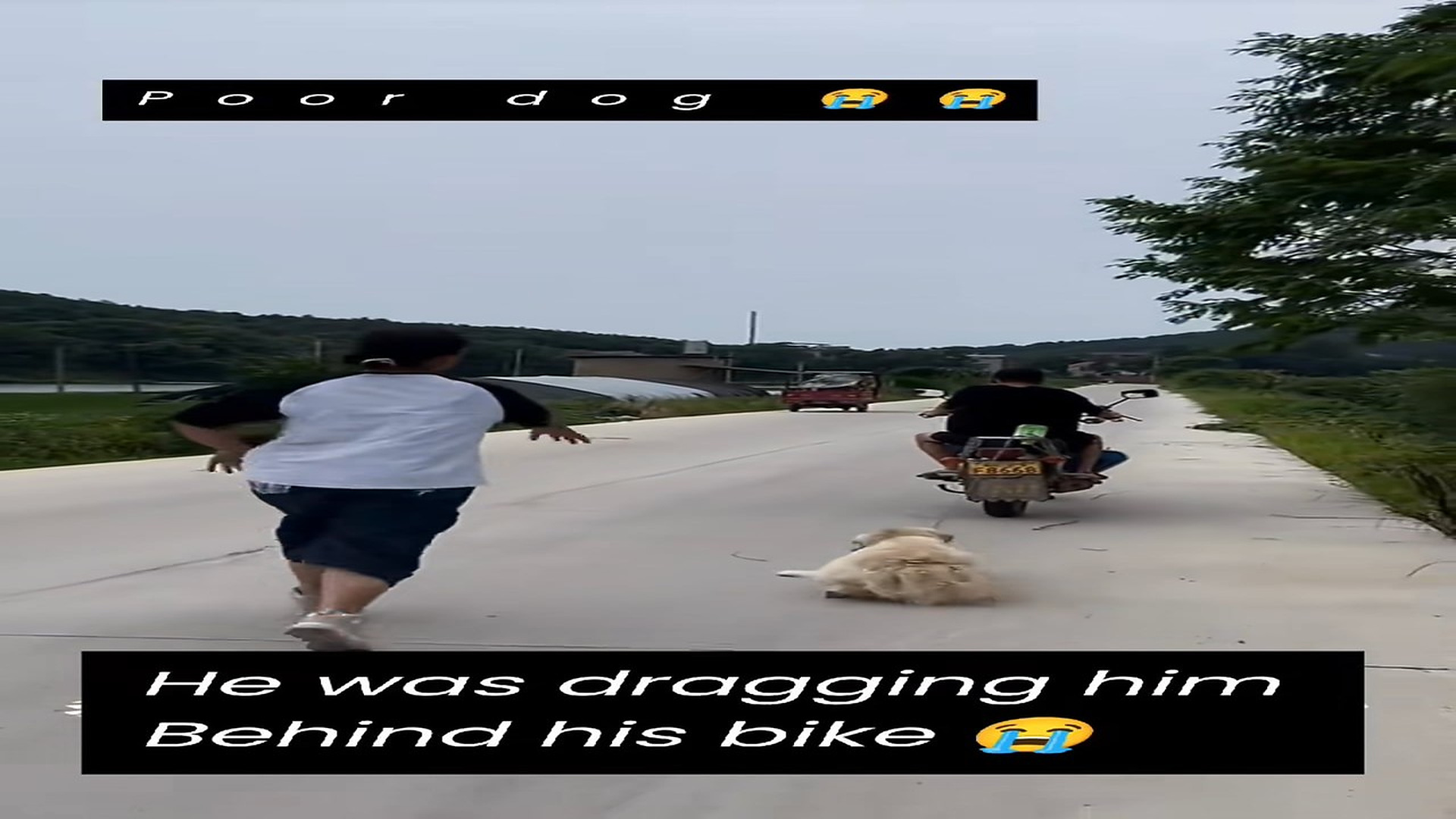 Full Story: T1507014_how kind lady saves poor dog cruel man who was dragging him (1)