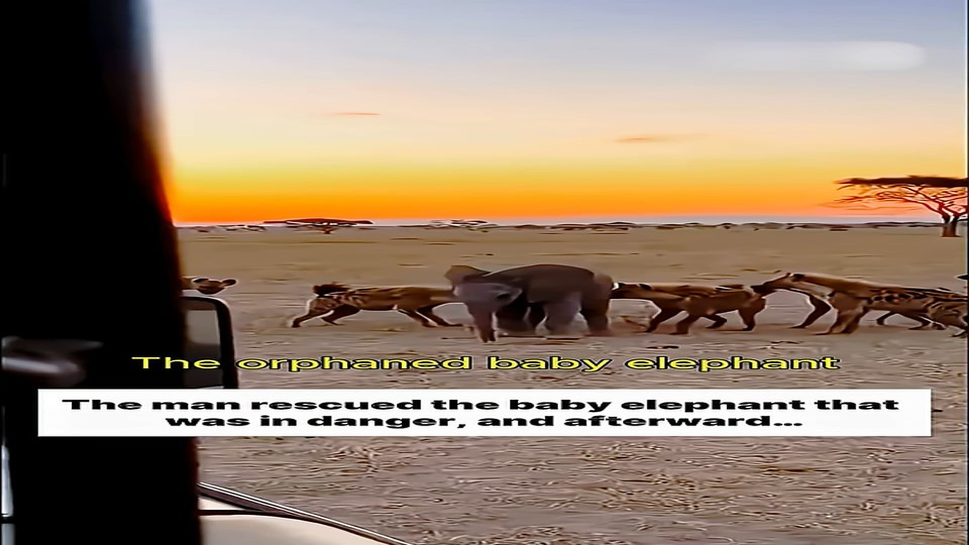 Full Story: T2007032_Rescuing lost baby elephant