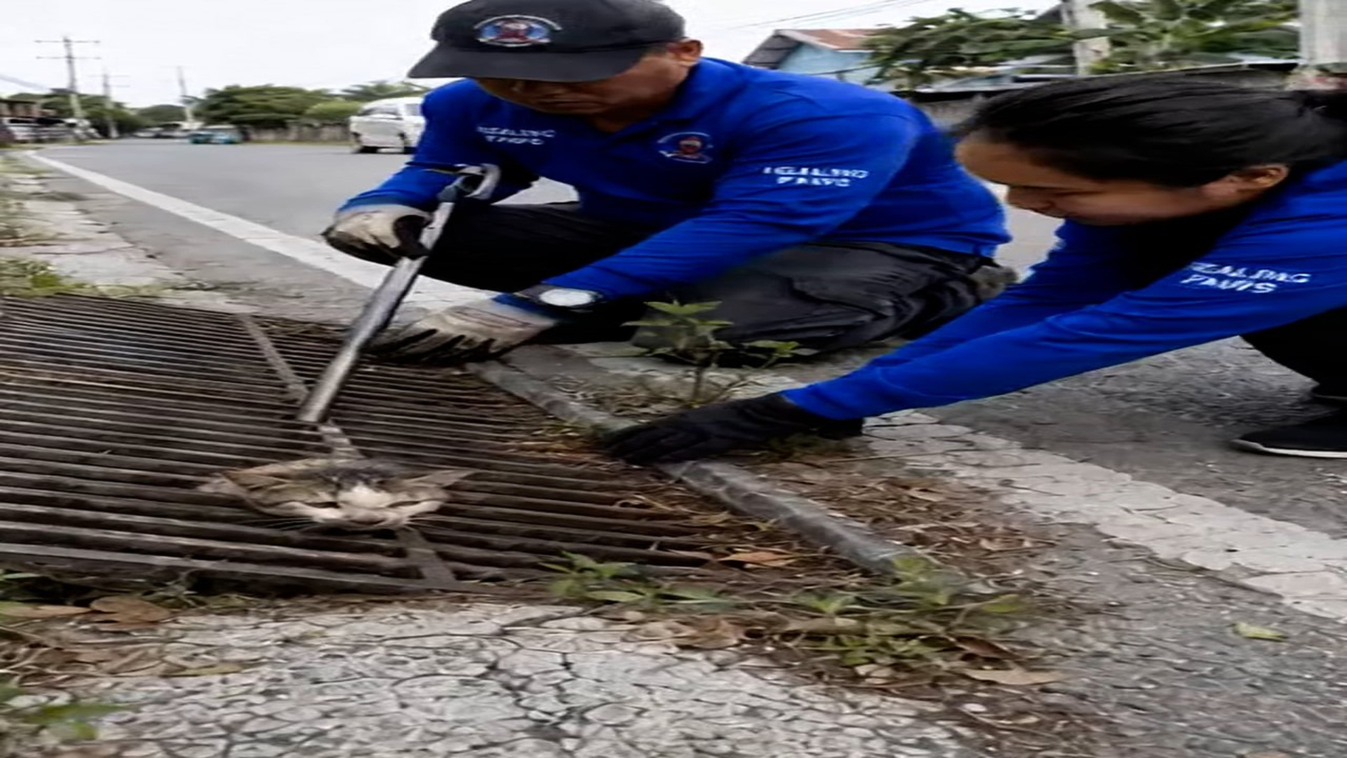 Full Story: T2107017_Heard cries road found this poor baby was so scared