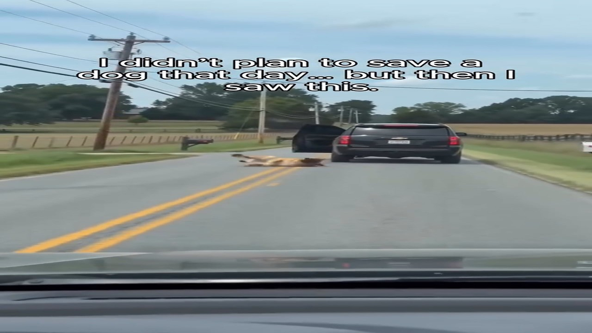 Full Story: T2107001_Why do people do StoryTime