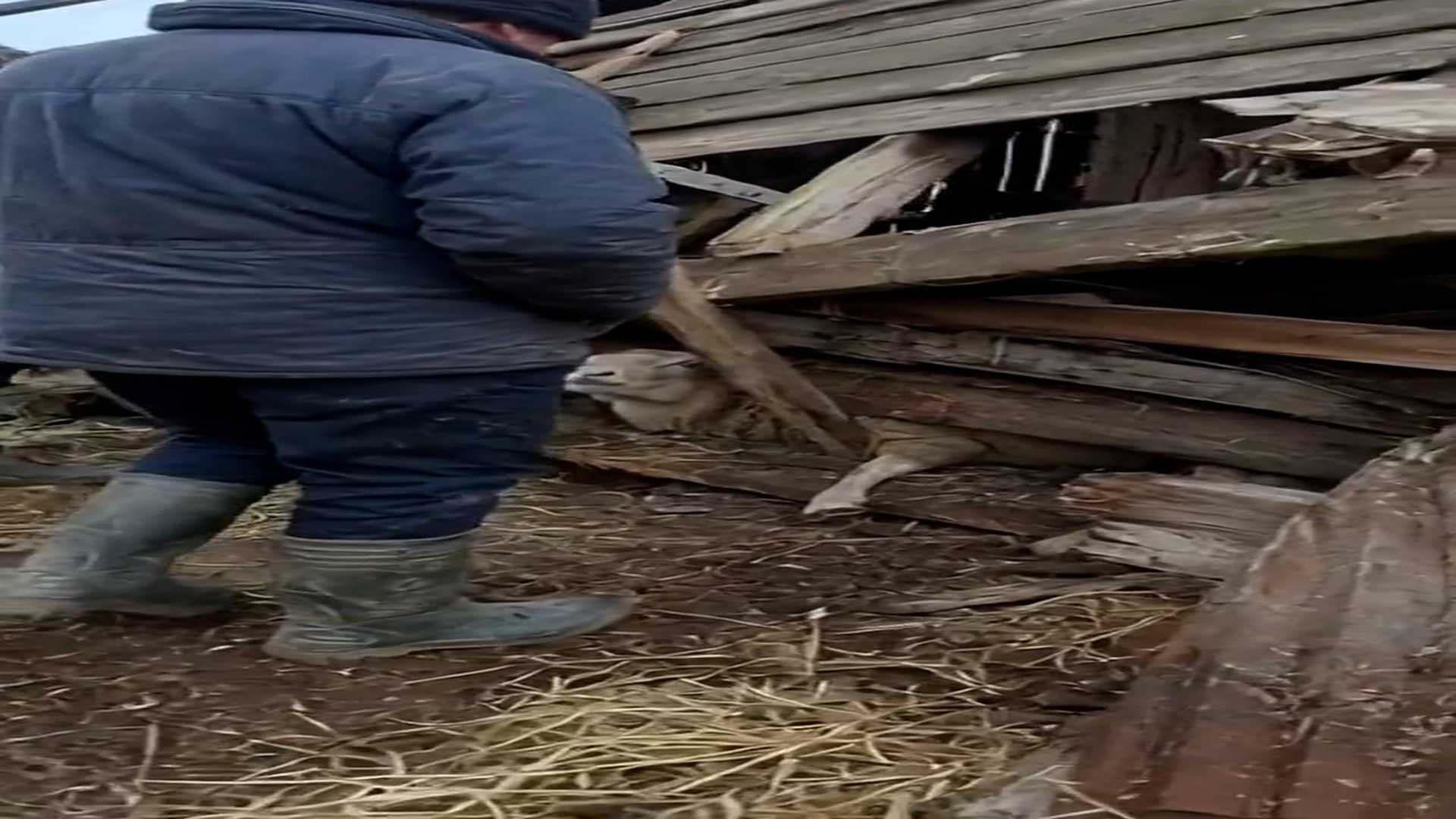 Full Story: T2107038_We thought storm took everything then we found her