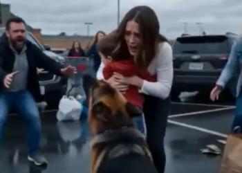 Unfold Story: T1807005_Suspenseful Dog Rescue
