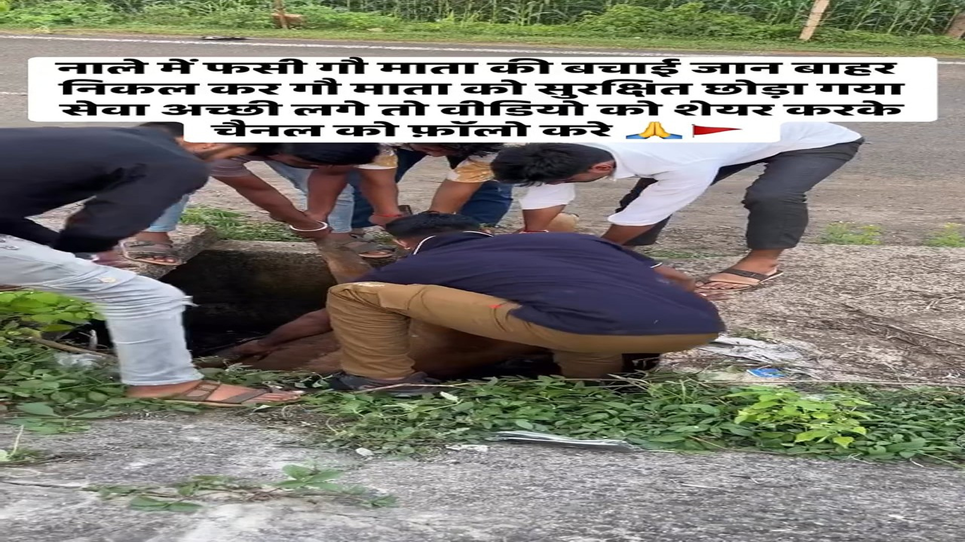 Full Story: T0108021_Rescuers Find A Helpless Animal In The Rain