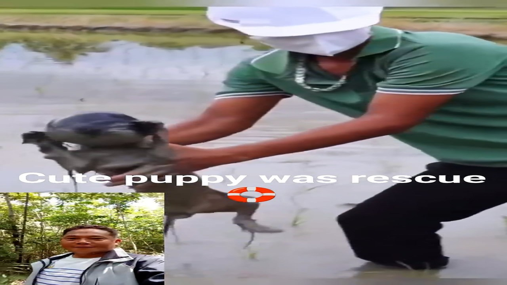 Full Story: T0508015_Rescue Team Brings Hope To A Helpless Animal