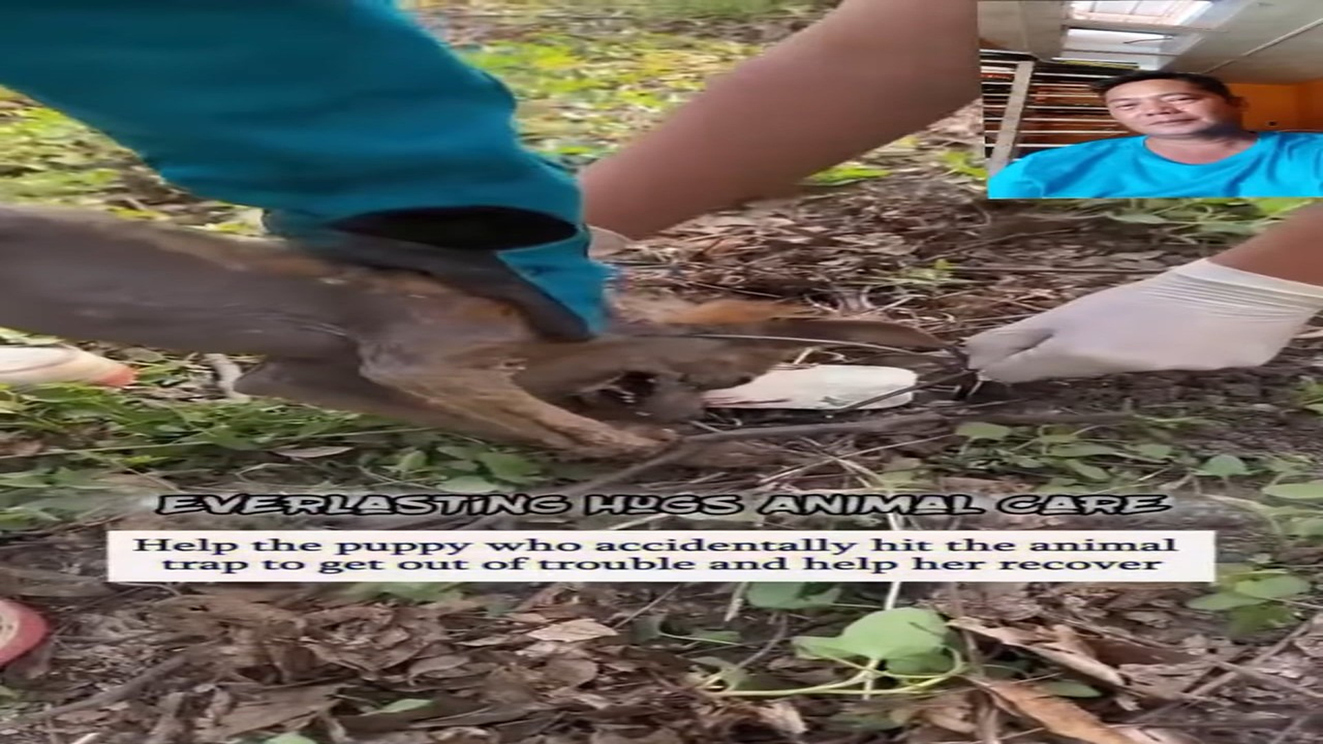 Full Story: T0508032_Rescue Team Finds An Animal In Desperate Condition