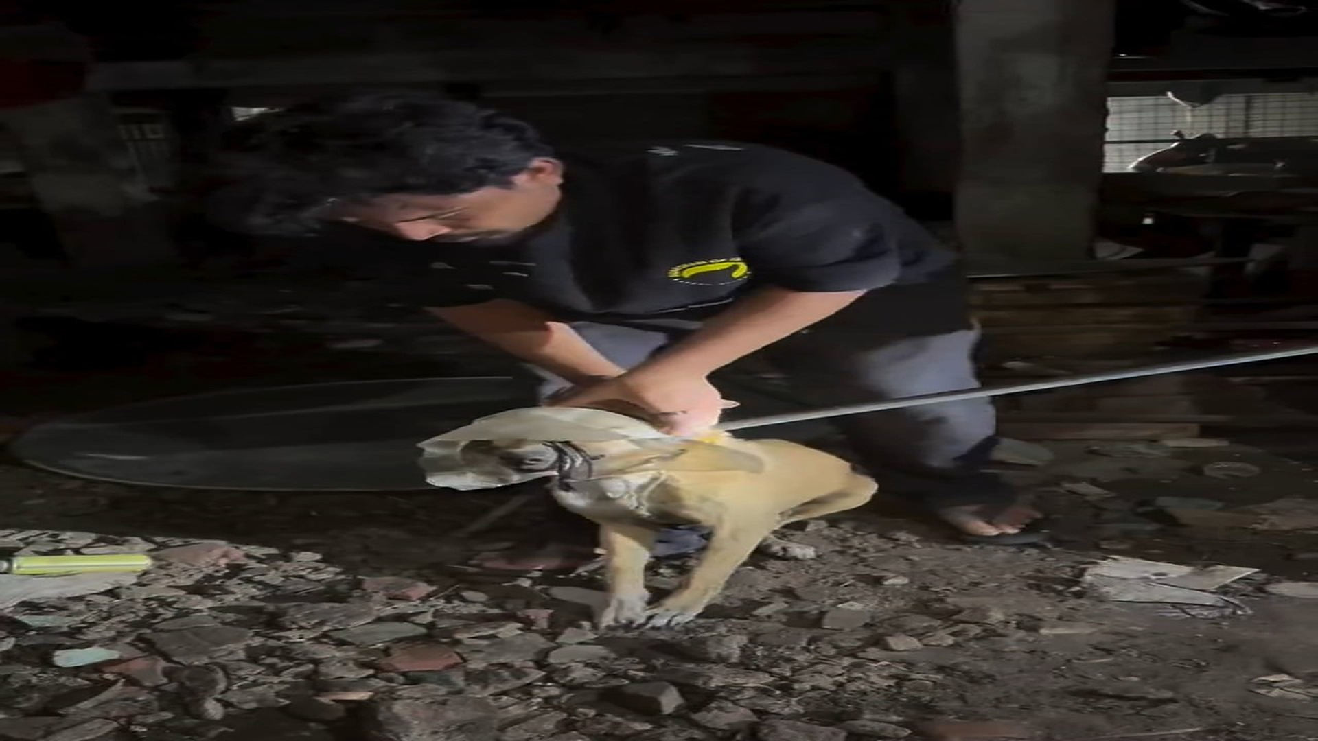 Full Story: T0708018_Tiny Animal Saved From A Dangerous Place
