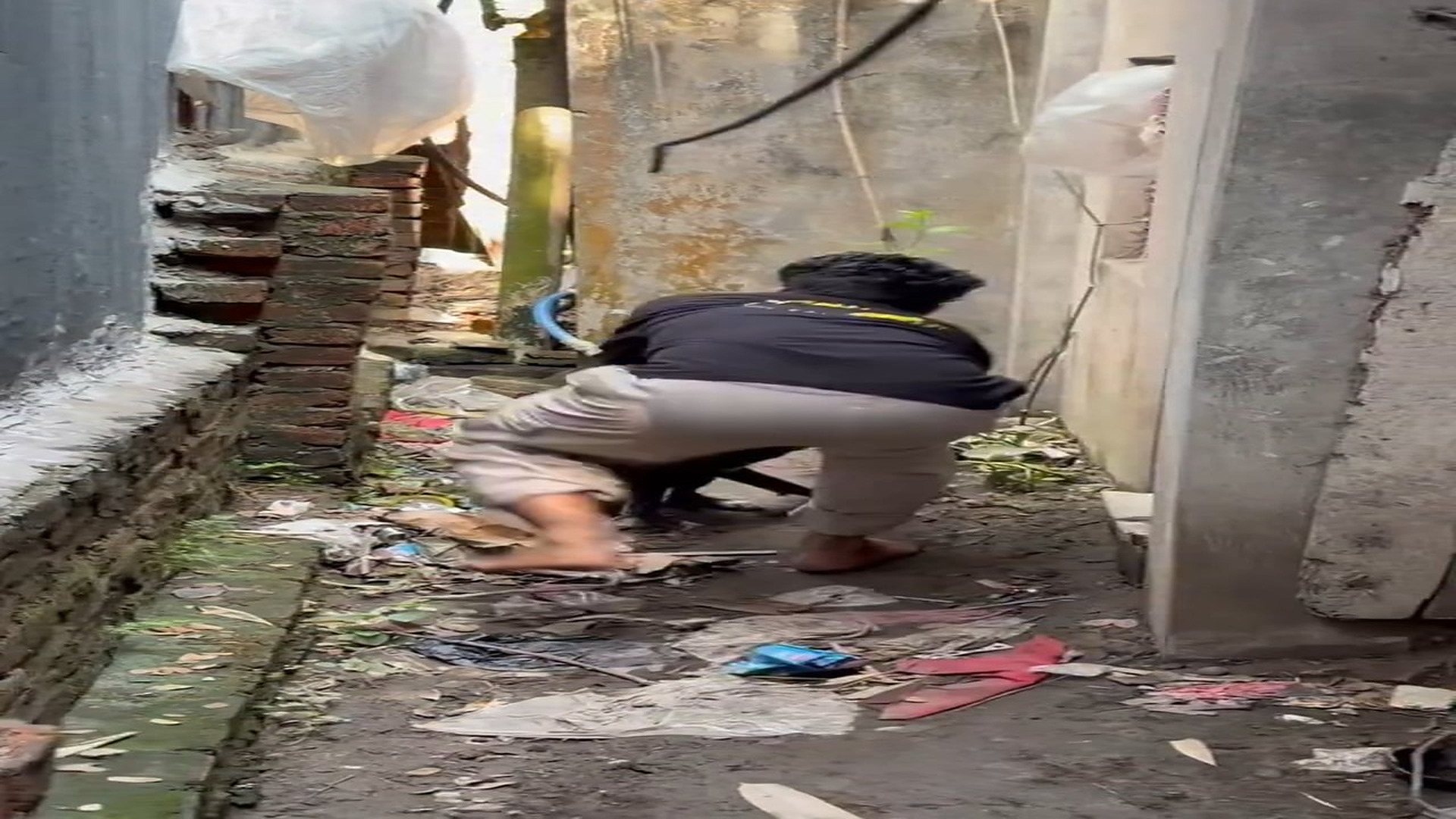 Full Story: T1108007_A Weak Animal Finally Finds Safety