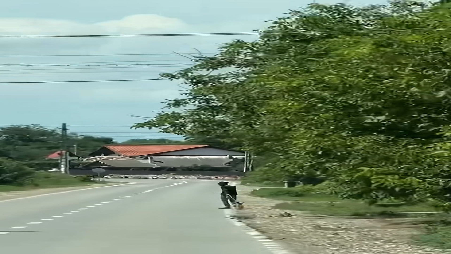 Full story: T1308031_Unplanned Rescue Saving Small Dog Drunk Man