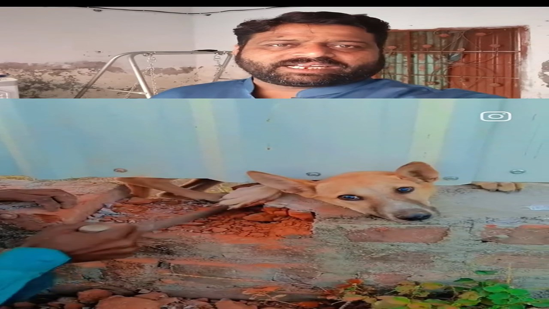 Full story here: T1408006_Abandoned Animal Saved From A Terrible Situation