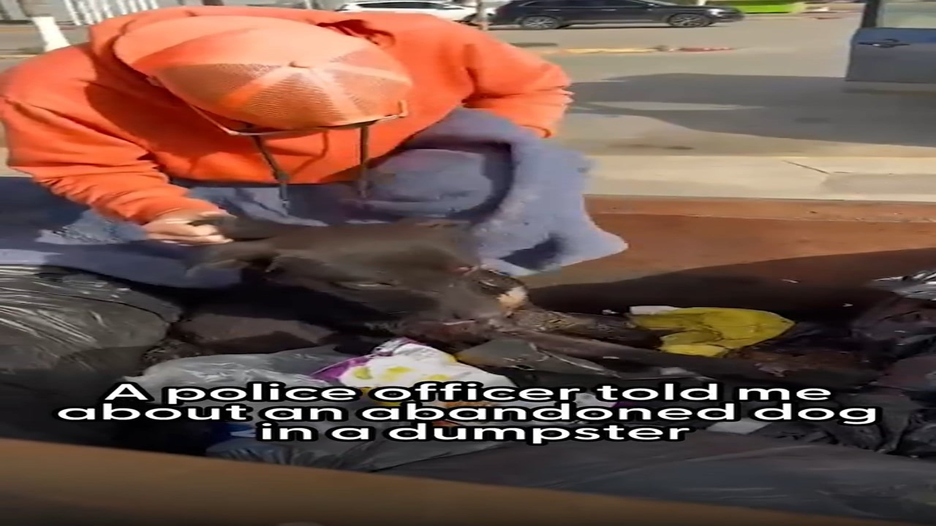Full story here: T1408003_Tiny Animal Survives After A Touching Rescue