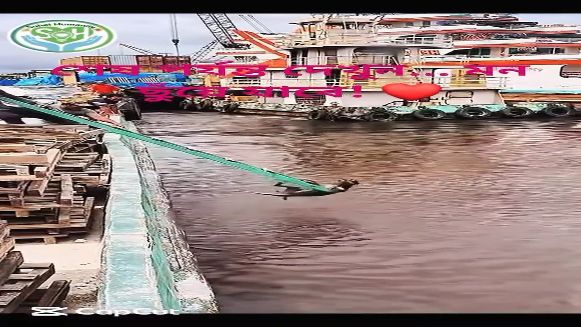 Full rescue here: T2308007_Rescuers Save An Animal That Had Lost Hope