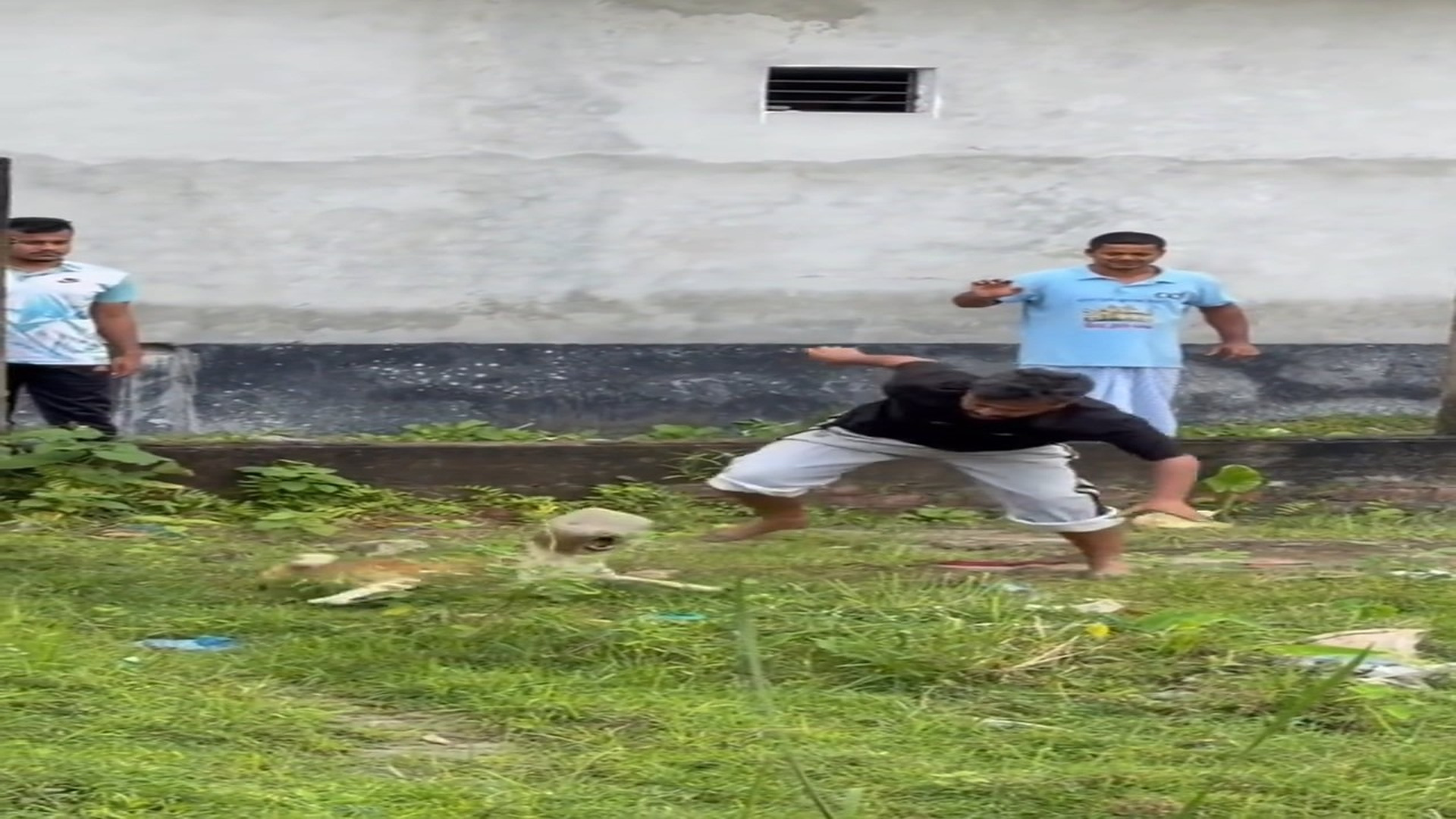 Full rescue here: T2508018_This Rescue Gave A Helpless Animal A New Life
