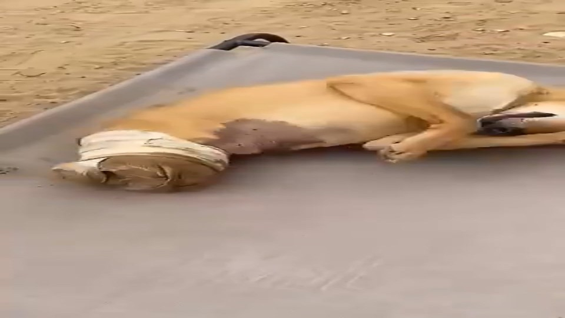 Full rescue here: T2508038_Suffer serious injury