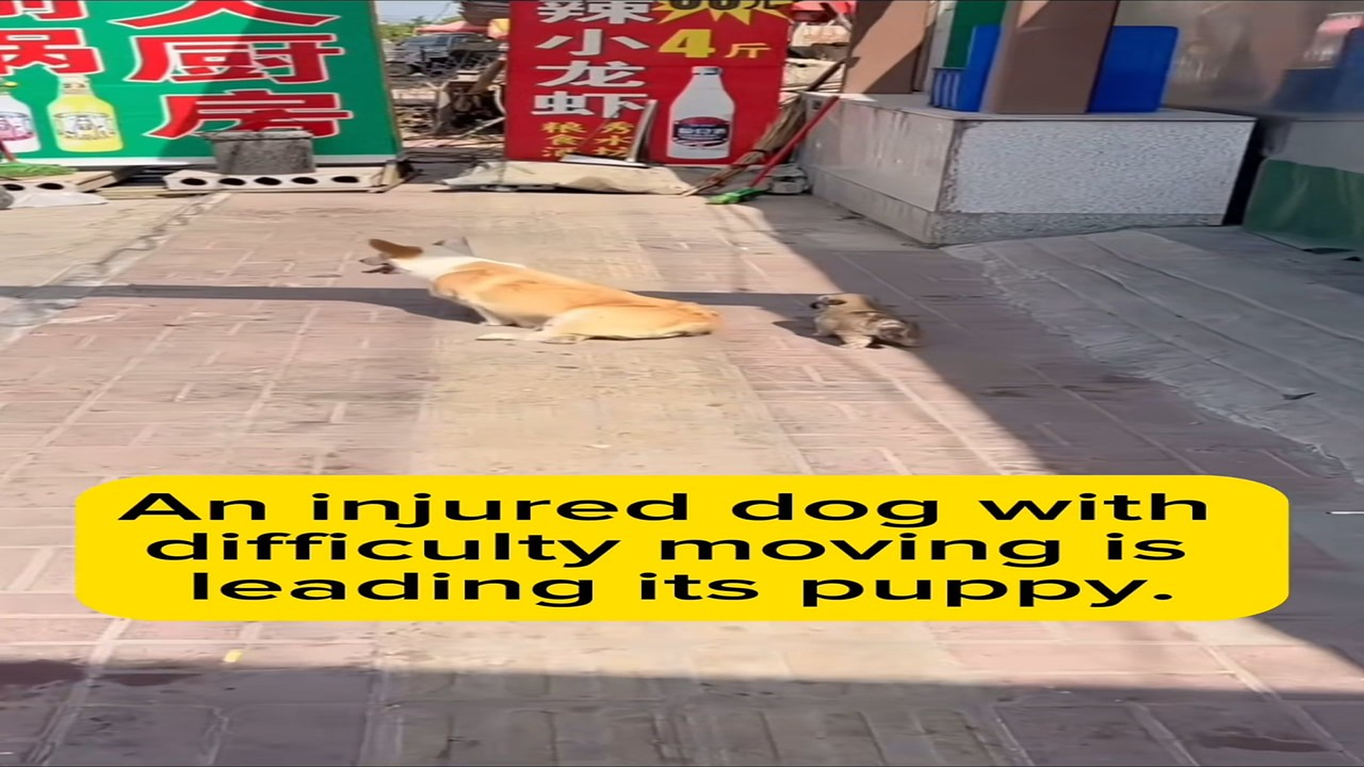 Full rescue here T0109033_be kind
