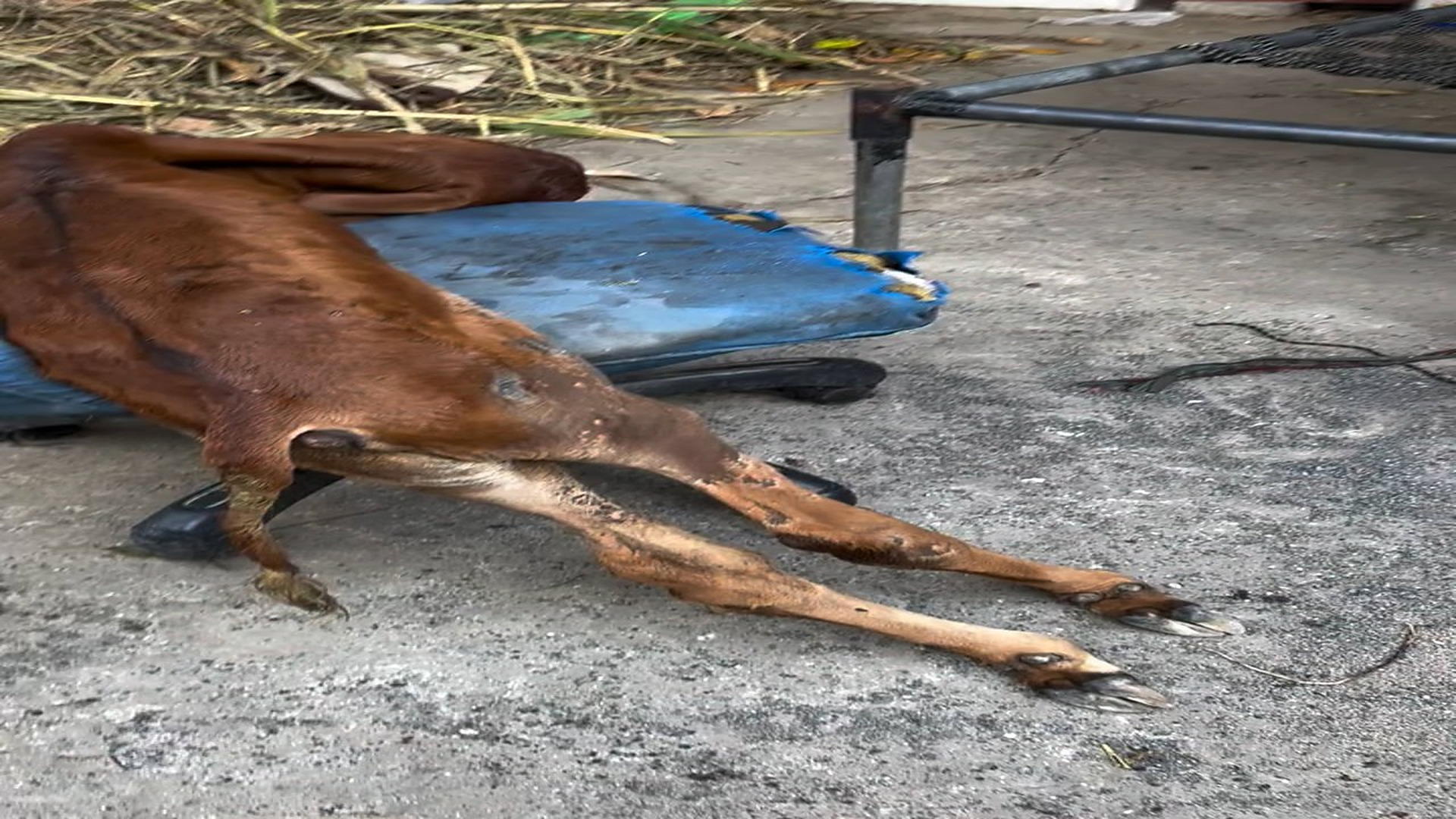 Full rescue here: T1309021_May the blessings of love remain the same, may life be full of strength and peace
