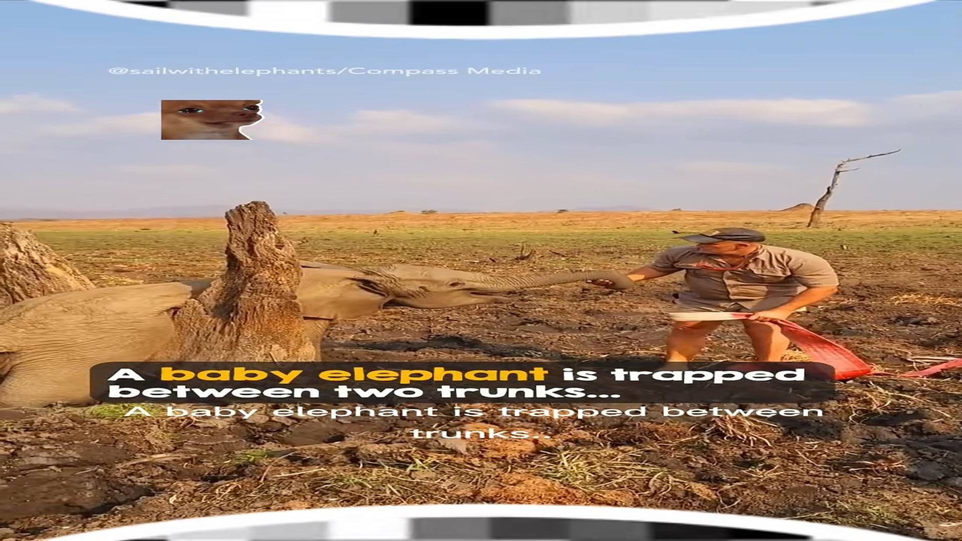 Full rescue story: T1509012_An act of kindness is never wasted elephant rescue