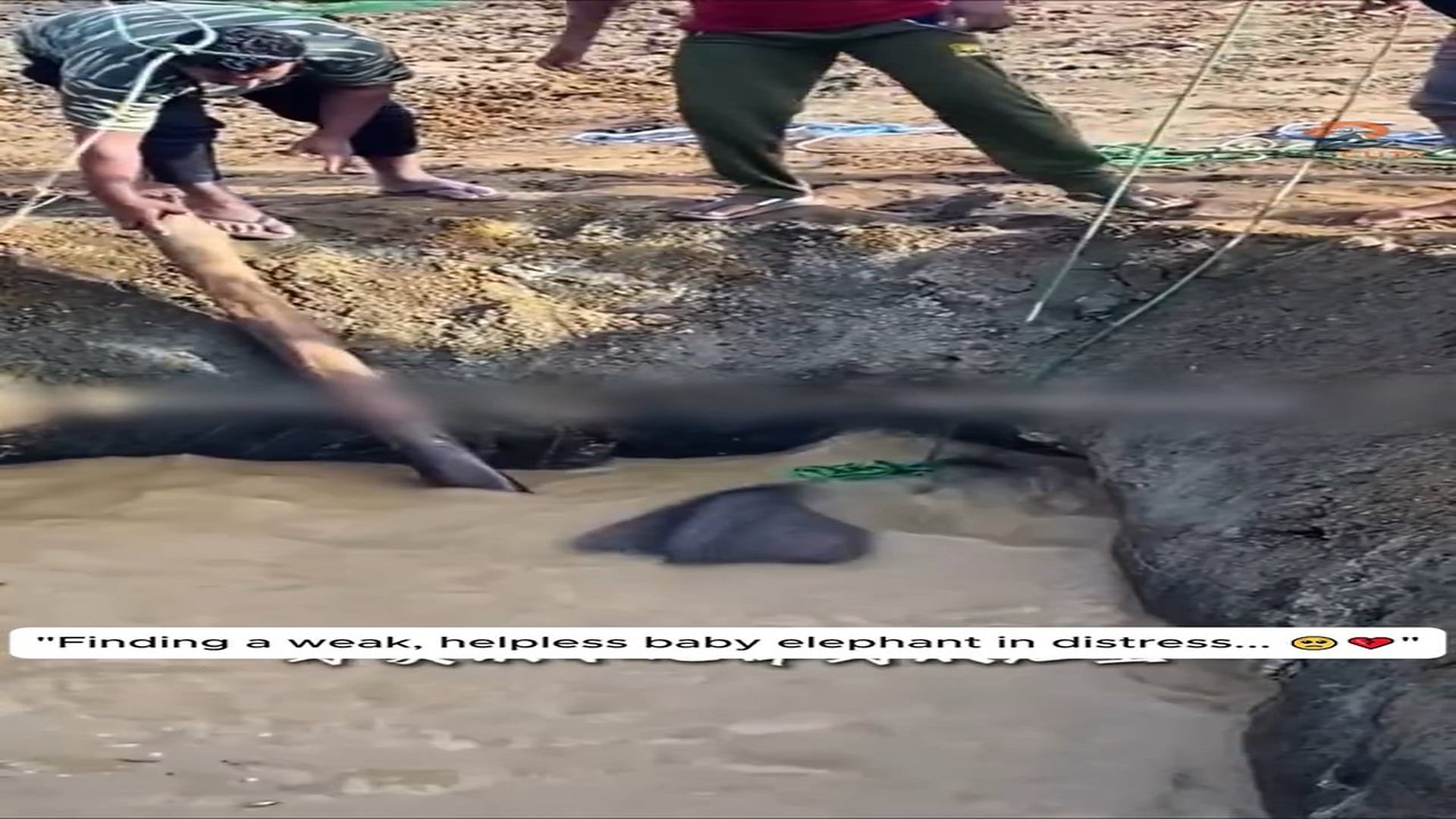 Full rescue here: T1709027_Digging Through Debris to Save a Life