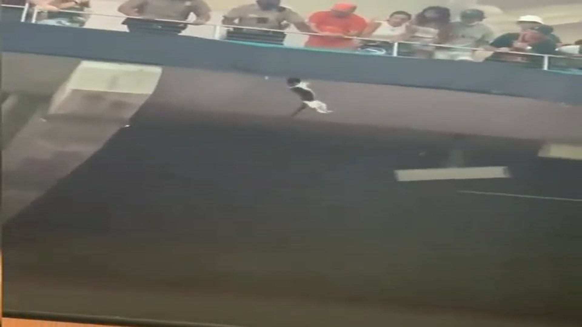 Full rescue here: T1709024_Fans save cat at football stadium