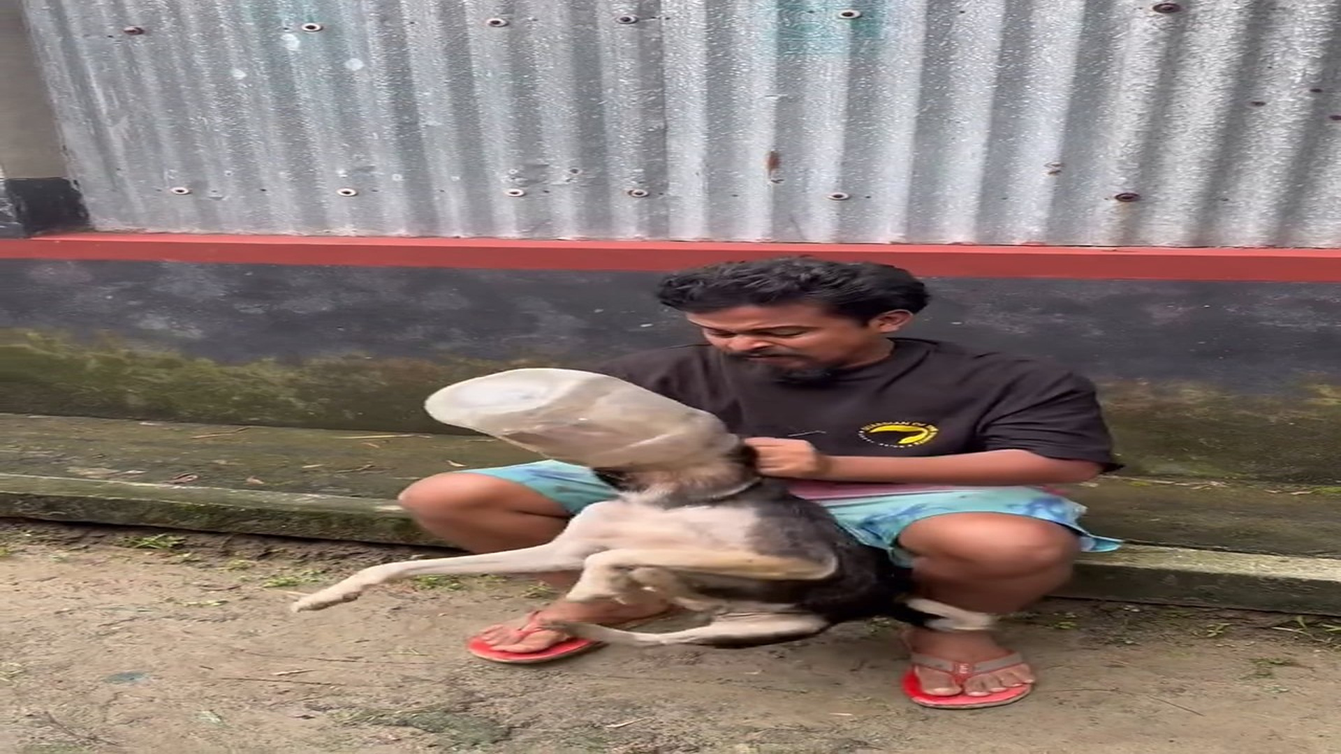 Full rescue here: T1709012_Alhamdulillah rescued. Sores have developed because it was confined in