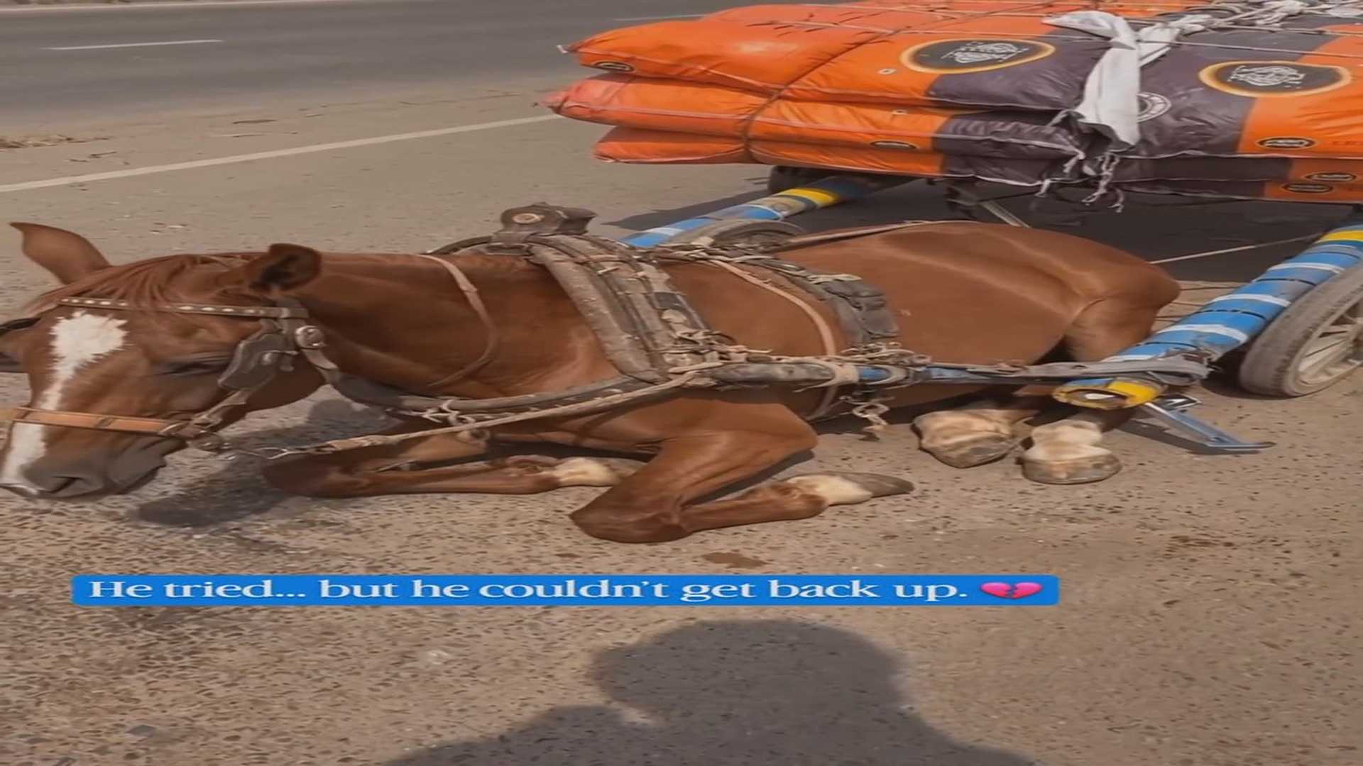 Full rescue here: T1709064_They Didn t Give Up on Him