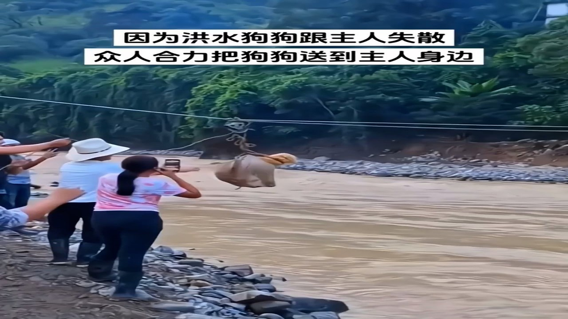 Full rescue here: T1709060_Rescuers Could Not Ignore This Helpless Animal